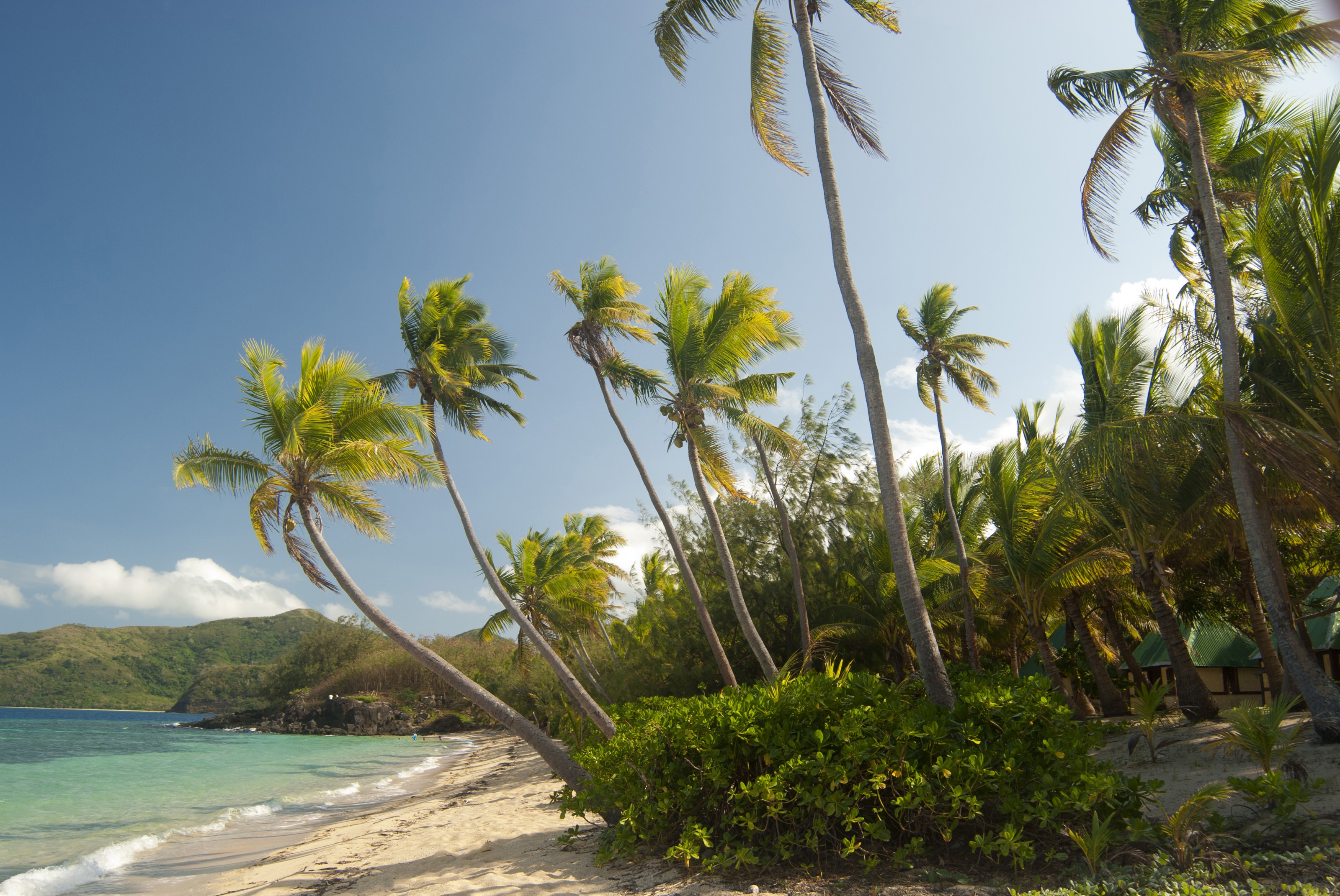 Download mobile wallpaper Nature, Palms, Tropics, Beach, Maldives for free.