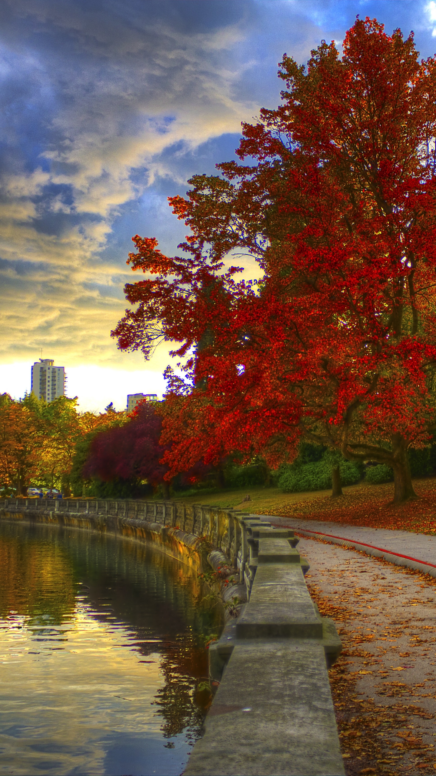 british columbia, photography, park, tree, fall HD wallpaper
