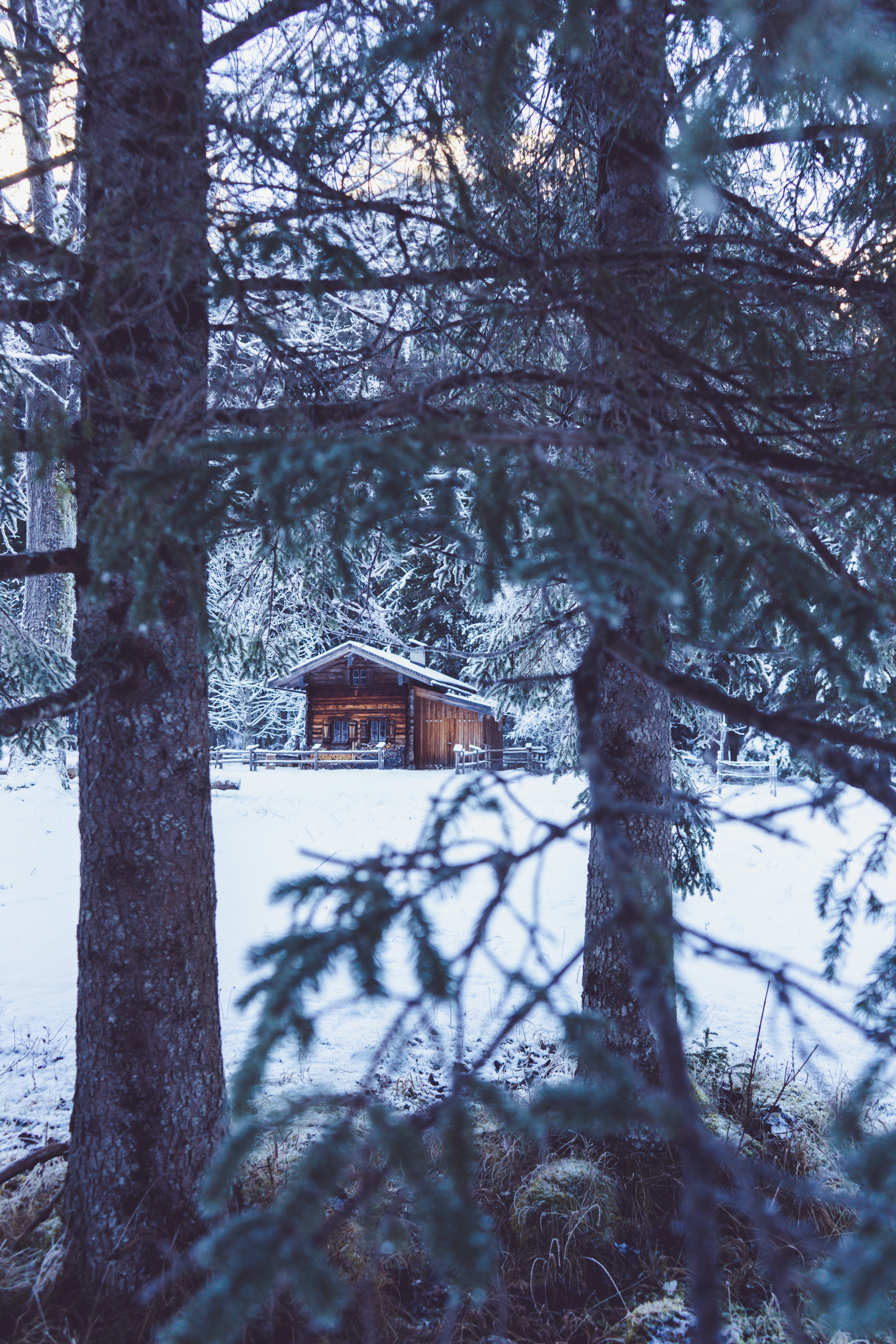trees, hut, winter, nature, snow, house for android