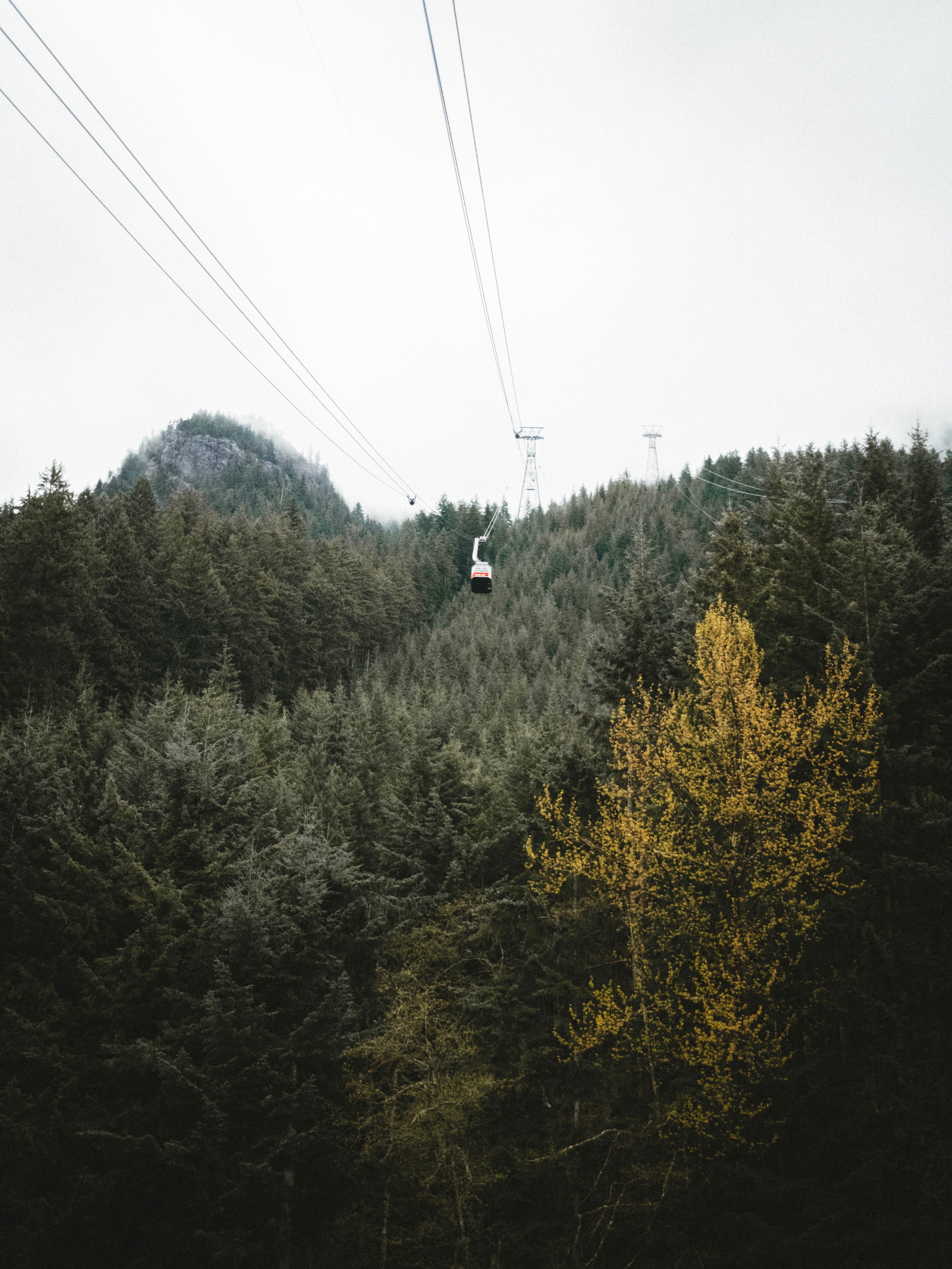 nature, trees, mountains, forest, height, cable car, cableway 1080p