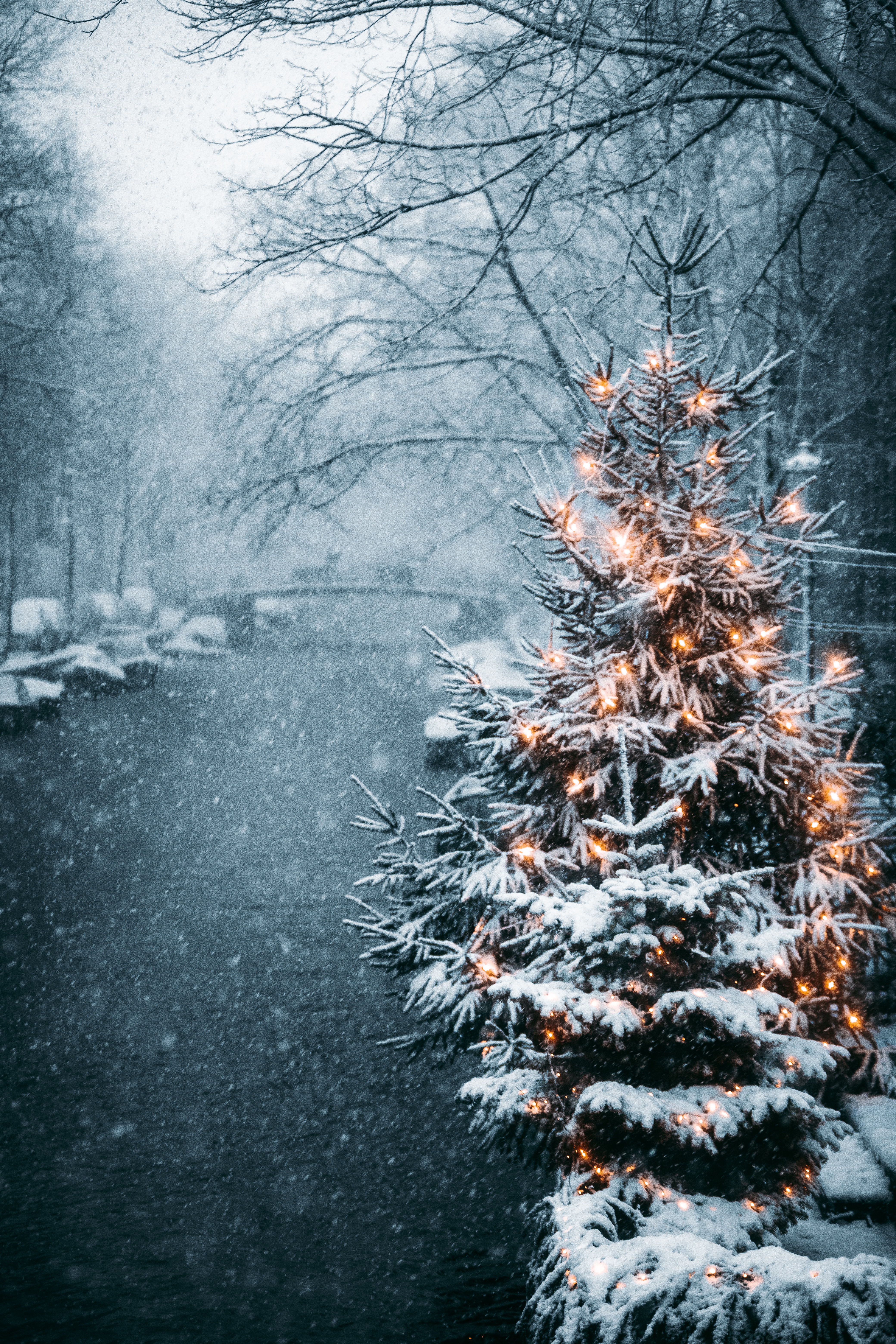 Download mobile wallpaper Holidays, Christmas Tree, New Year, Garlands, Winter, Garland, Snow for free.