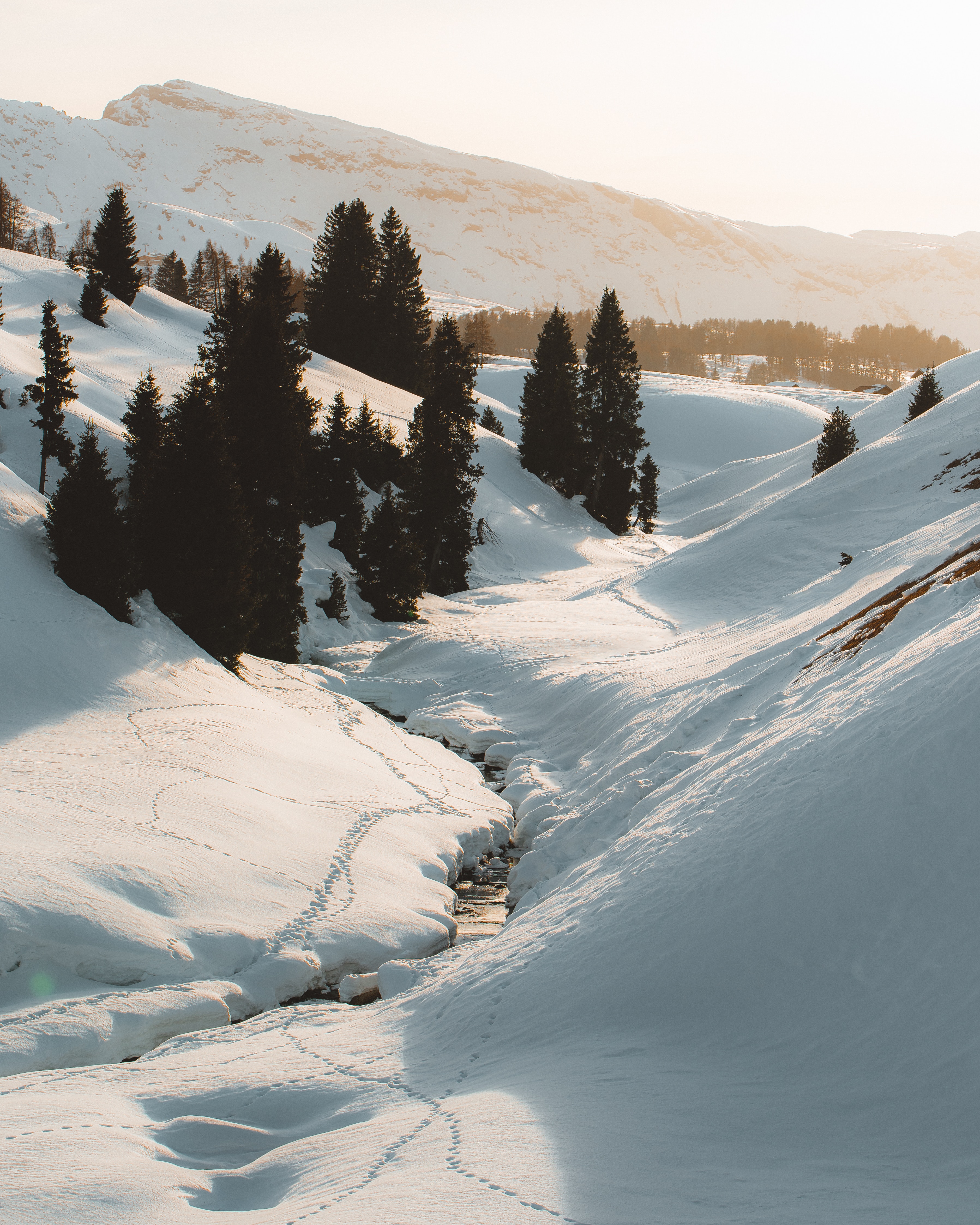 149426 Hintergrundbild herunterladen winter, natur, bäume, mountains, schnee, bach, brook - Bildschirmschoner und Bilder kostenlos