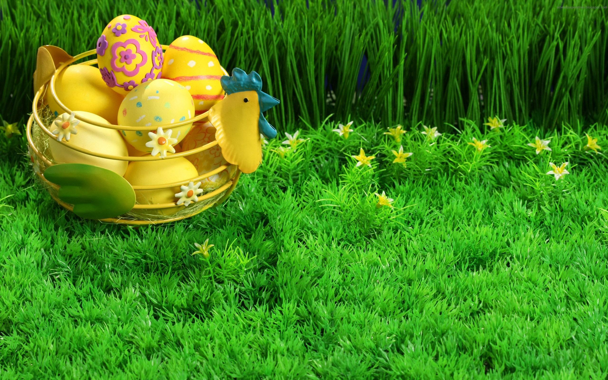 easter egg grass background