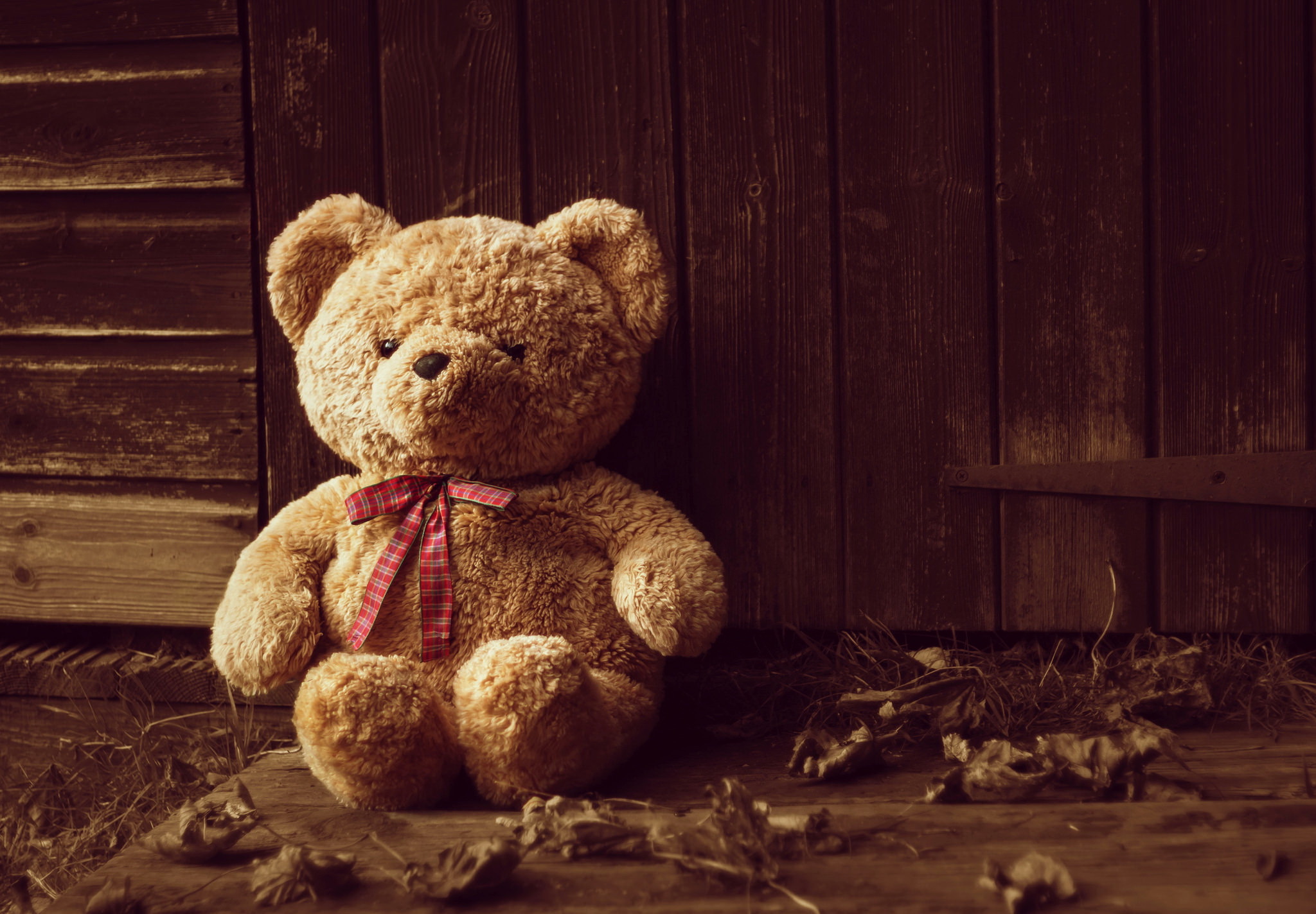 Mobile HD Wallpaper Teddy Bear 