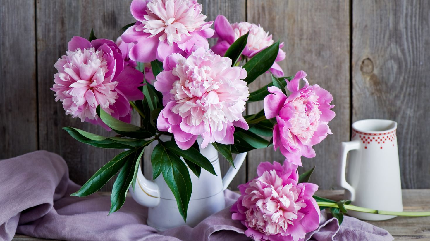 Розовые пионы на столе