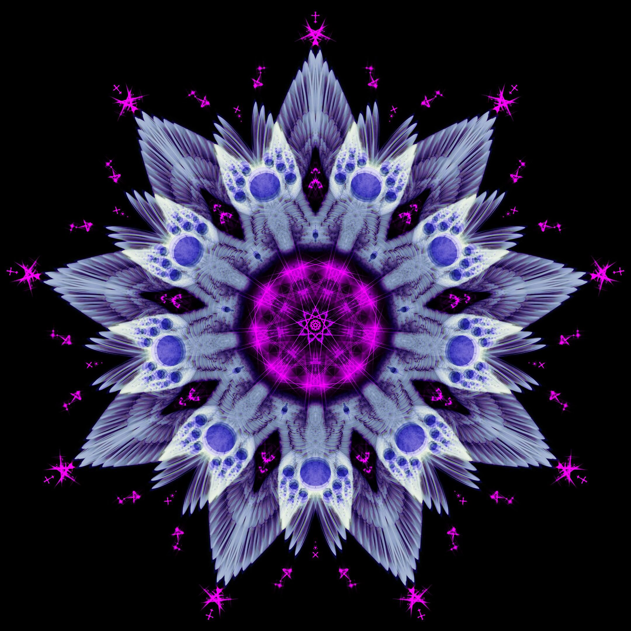 Laden Sie das Muster, Symmetrie, Fraktale, Abstrakt, Mandala-Bild kostenlos auf Ihren PC-Desktop herunter