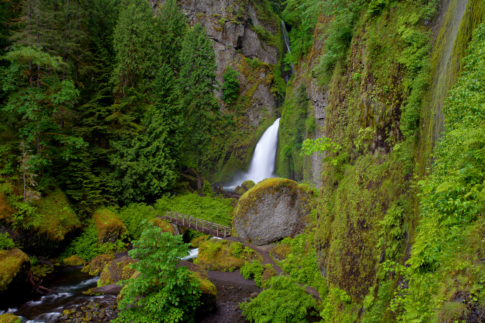nature, grass, waterfall, elevation, state of oregon, wahclella falls, oregon state