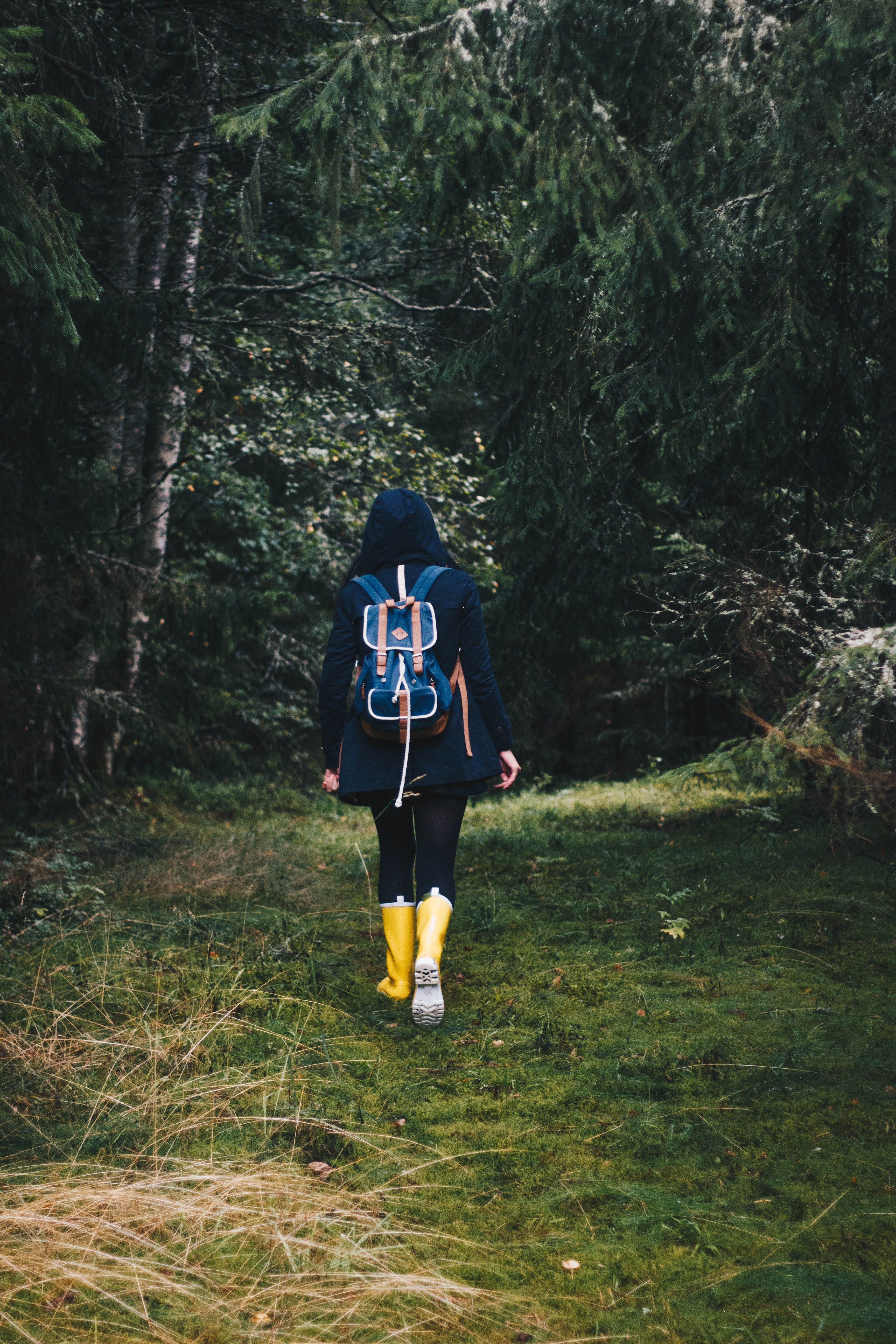 Download mobile wallpaper Backpack, Forest, Rucksack, Stroll, Nature, Autumn, Girl for free.
