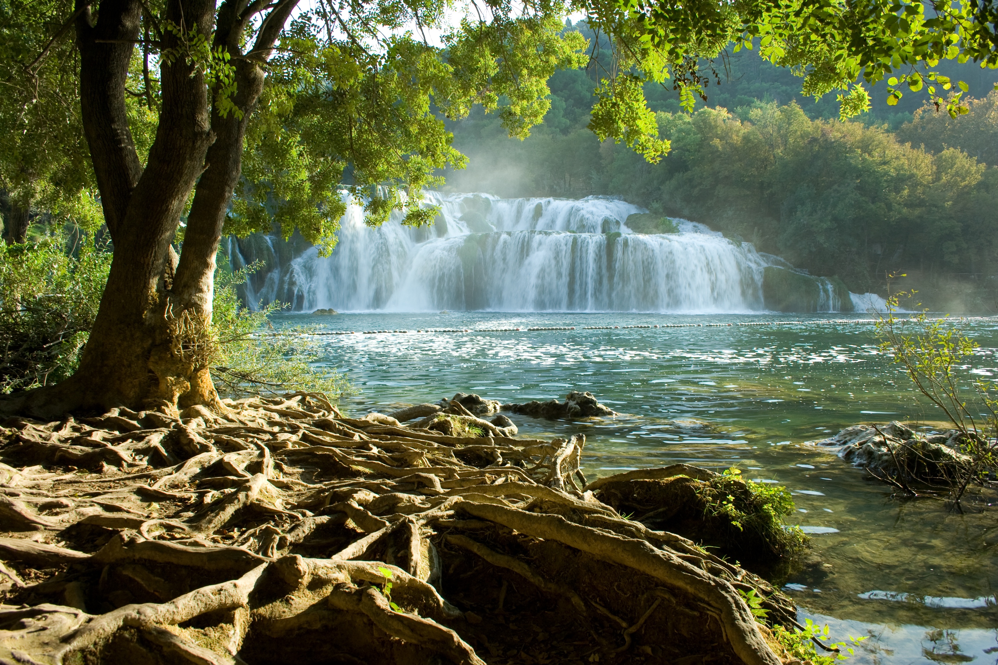Озера водопад лес. Хорватия парк КРКА водопады. Национальный парк КРКА Хорватия. Хорватия водопады КРКА Плитвицкие озера. Национальном парке КРКА Хорватия водопад.
