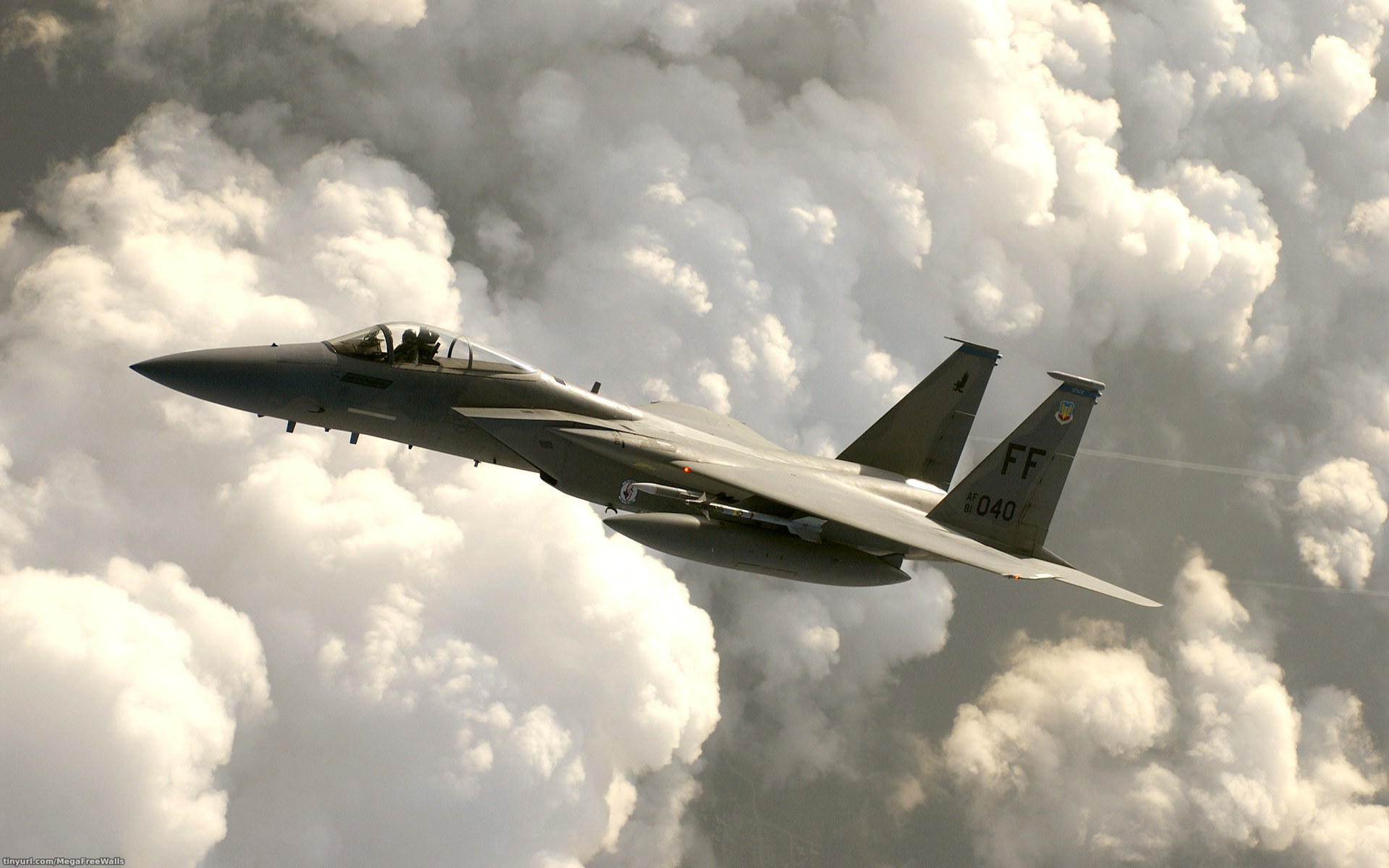F-14a Tomcat