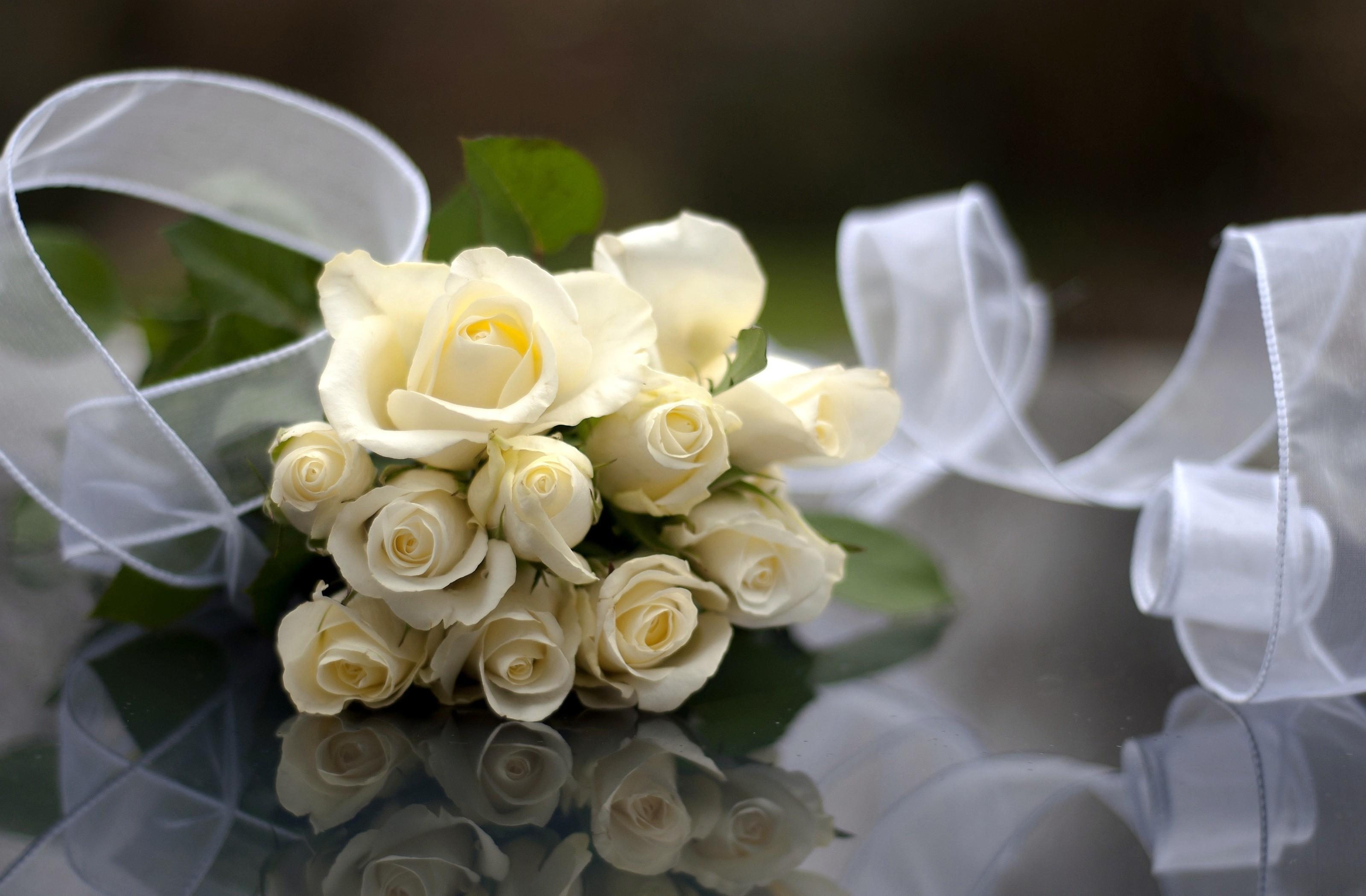 Laden Sie das Reflexion, Strauß, Band, Schneewittchen, Roses, Bouquet, Blumen-Bild kostenlos auf Ihren PC-Desktop herunter