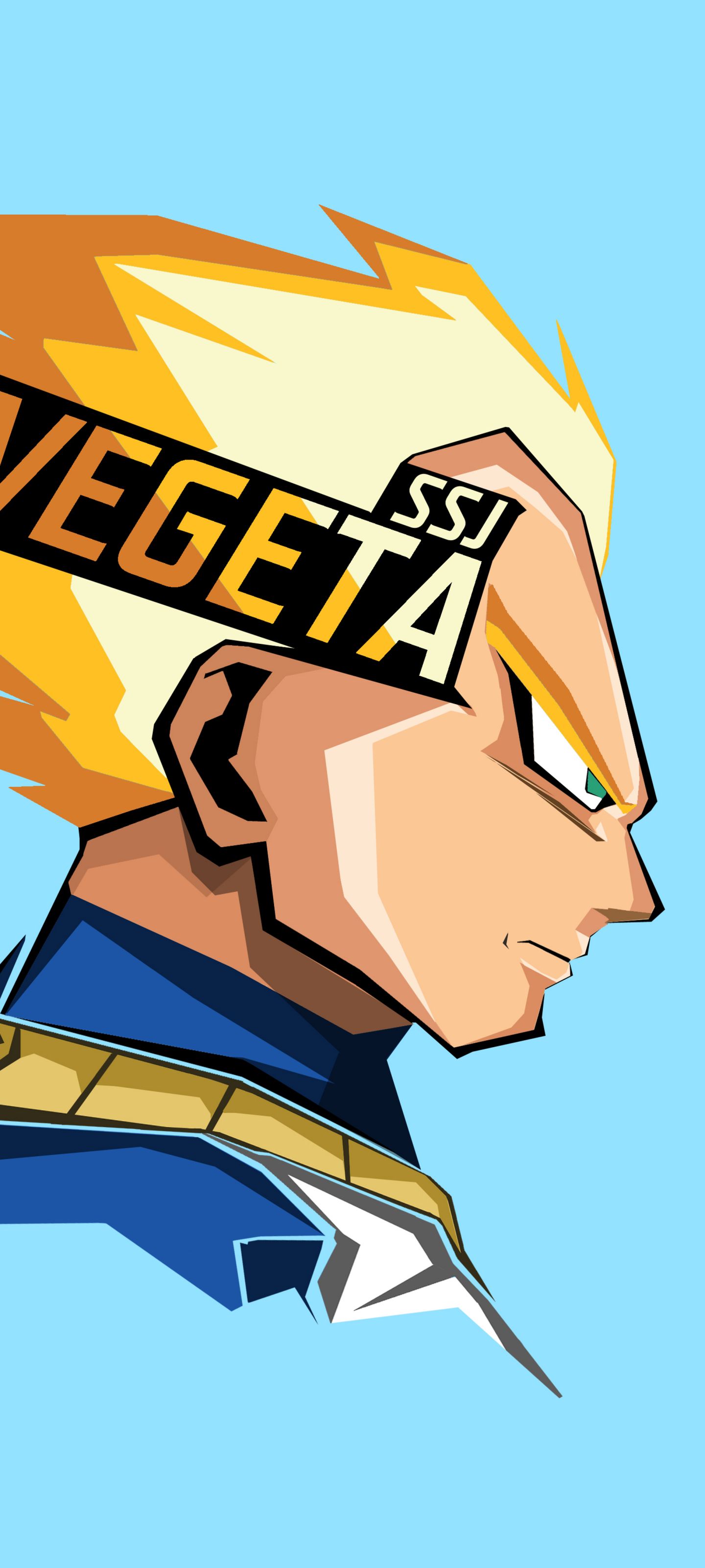 HD wallpaper: Vegeta illustration, Vegeta illustration, Dragon Ball Z,  Super Saiyan