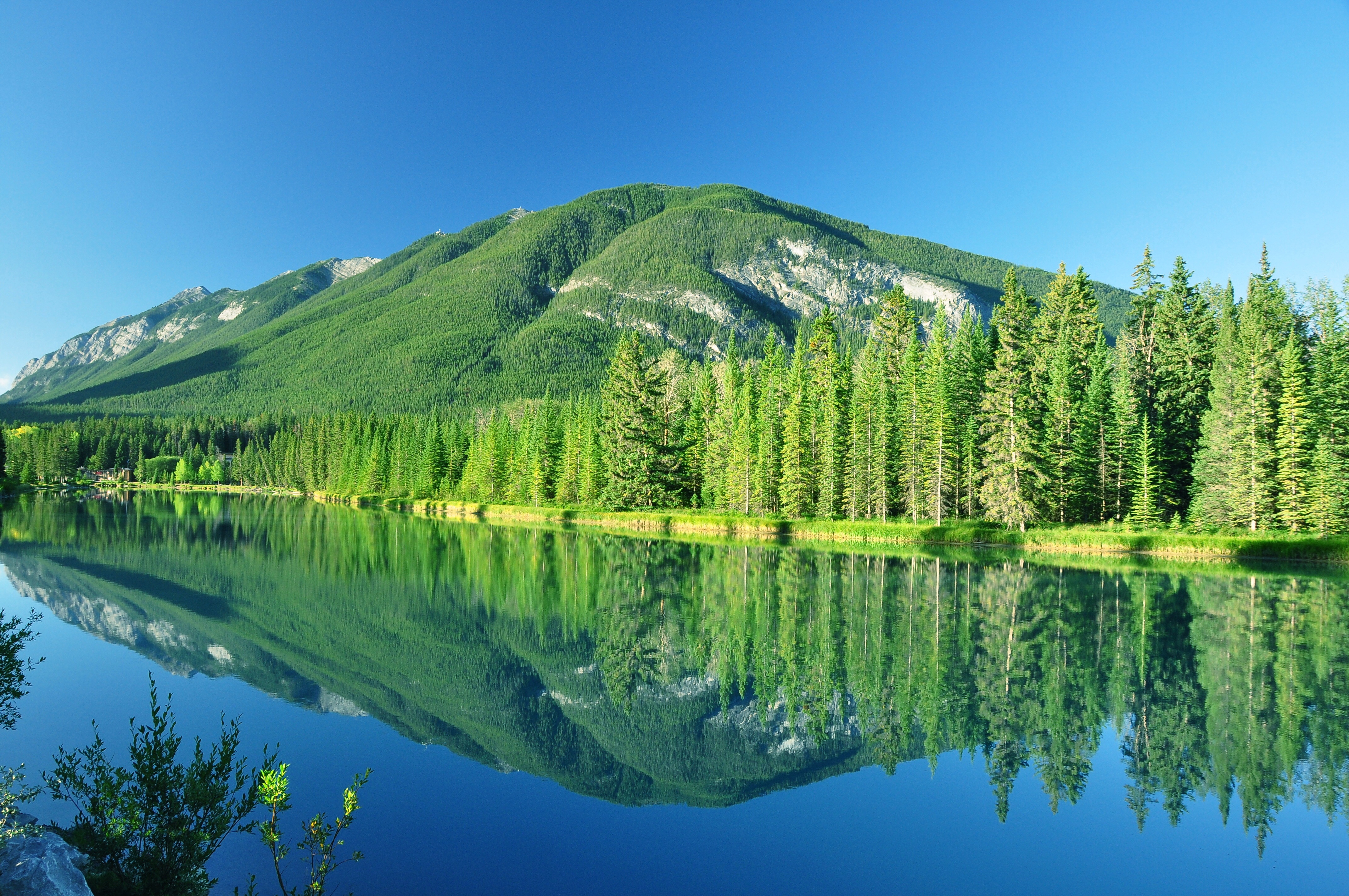 Скачать картинку Гора, Озеро, Отражение, Канада, Лес, Дерево, Ландшафт, Национальный Парк Банф, Земля/природа в телефон бесплатно.