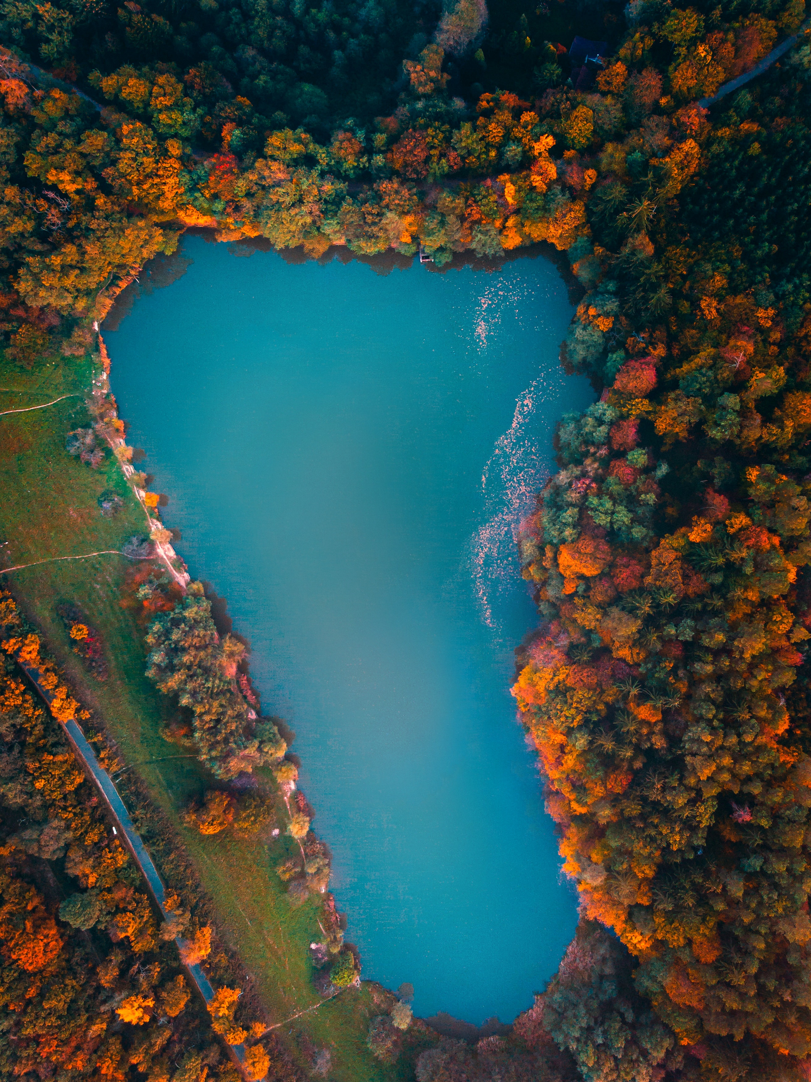 Download mobile wallpaper View From Above, Lake, Hungary, Trees, Nature, Autumn for free.