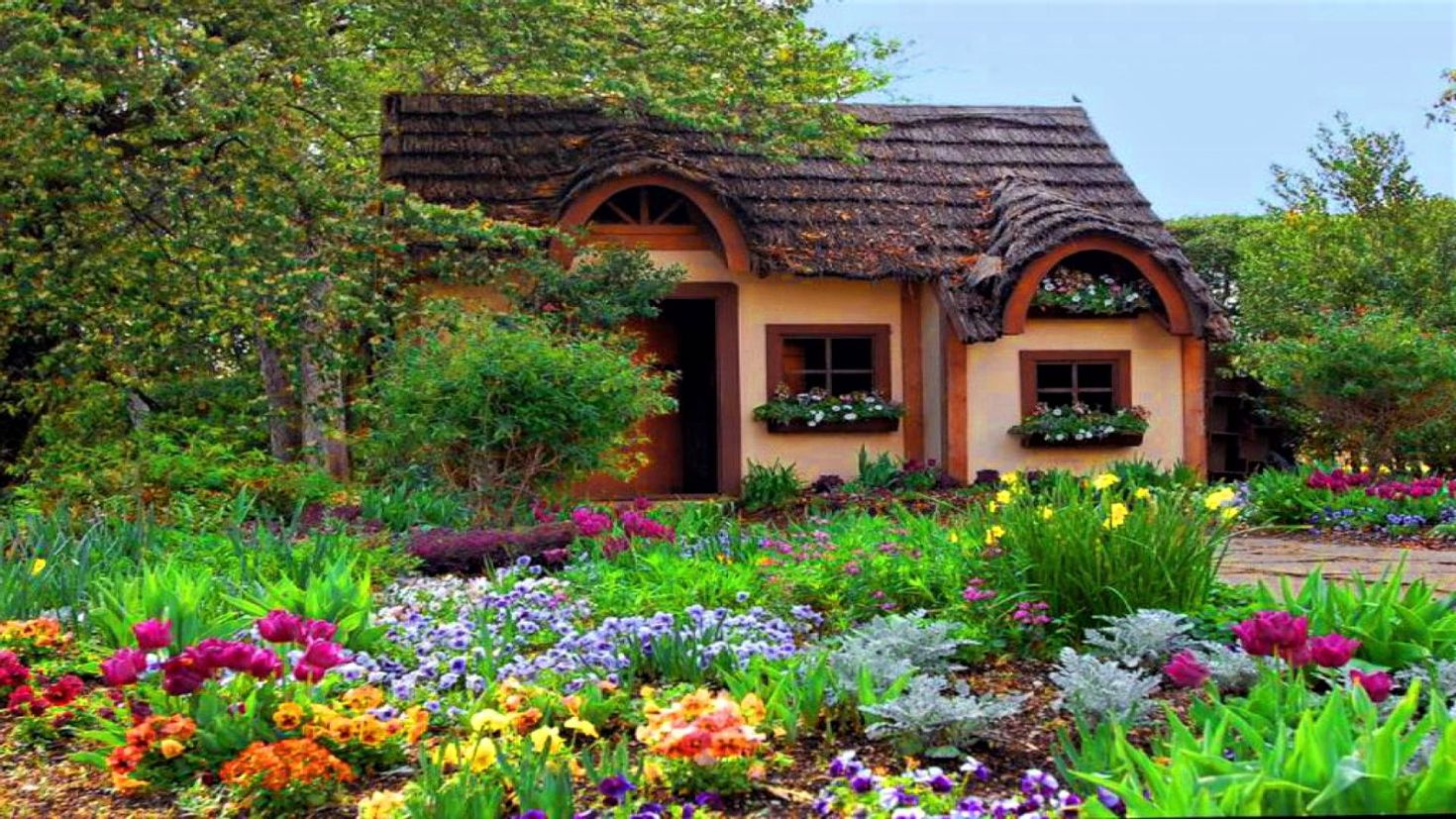 Flower house. На даче. Садовый участок. Участок дома. Красота дома.