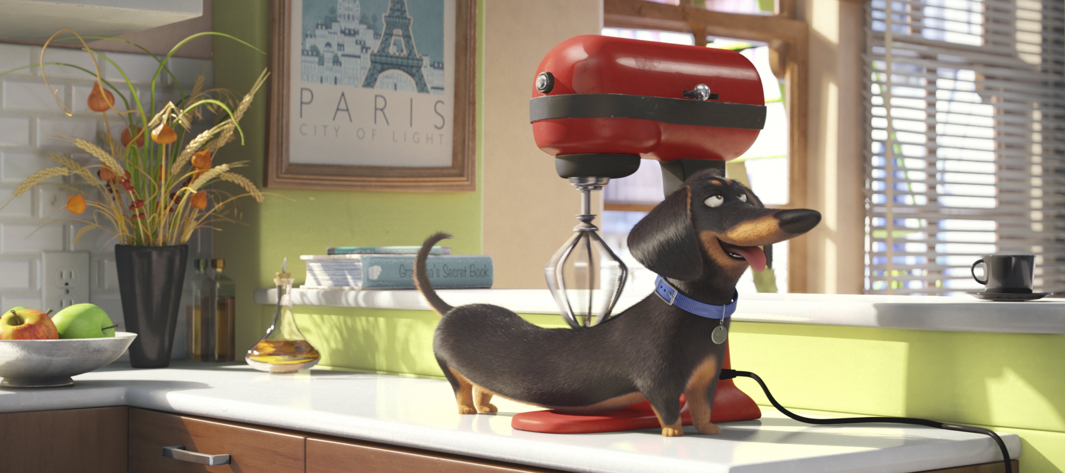 movie, the secret life of pets, dog, mixer Smartphone Background