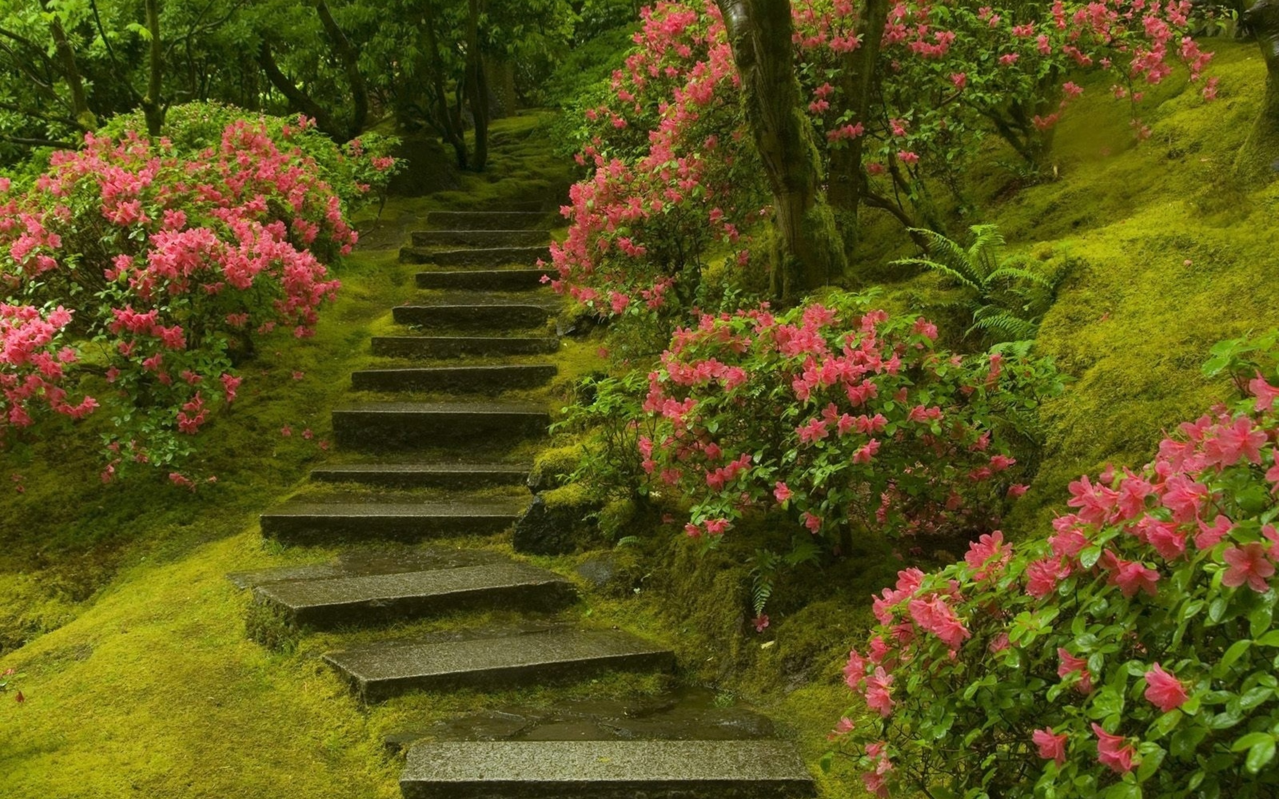 man made, stairs, flower