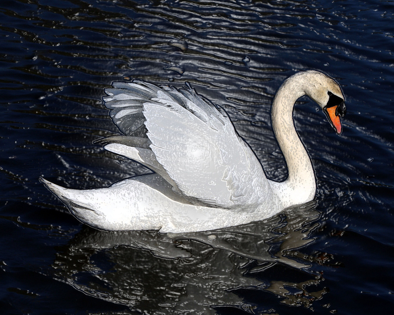 Free HD animal, artistic, mute swan
