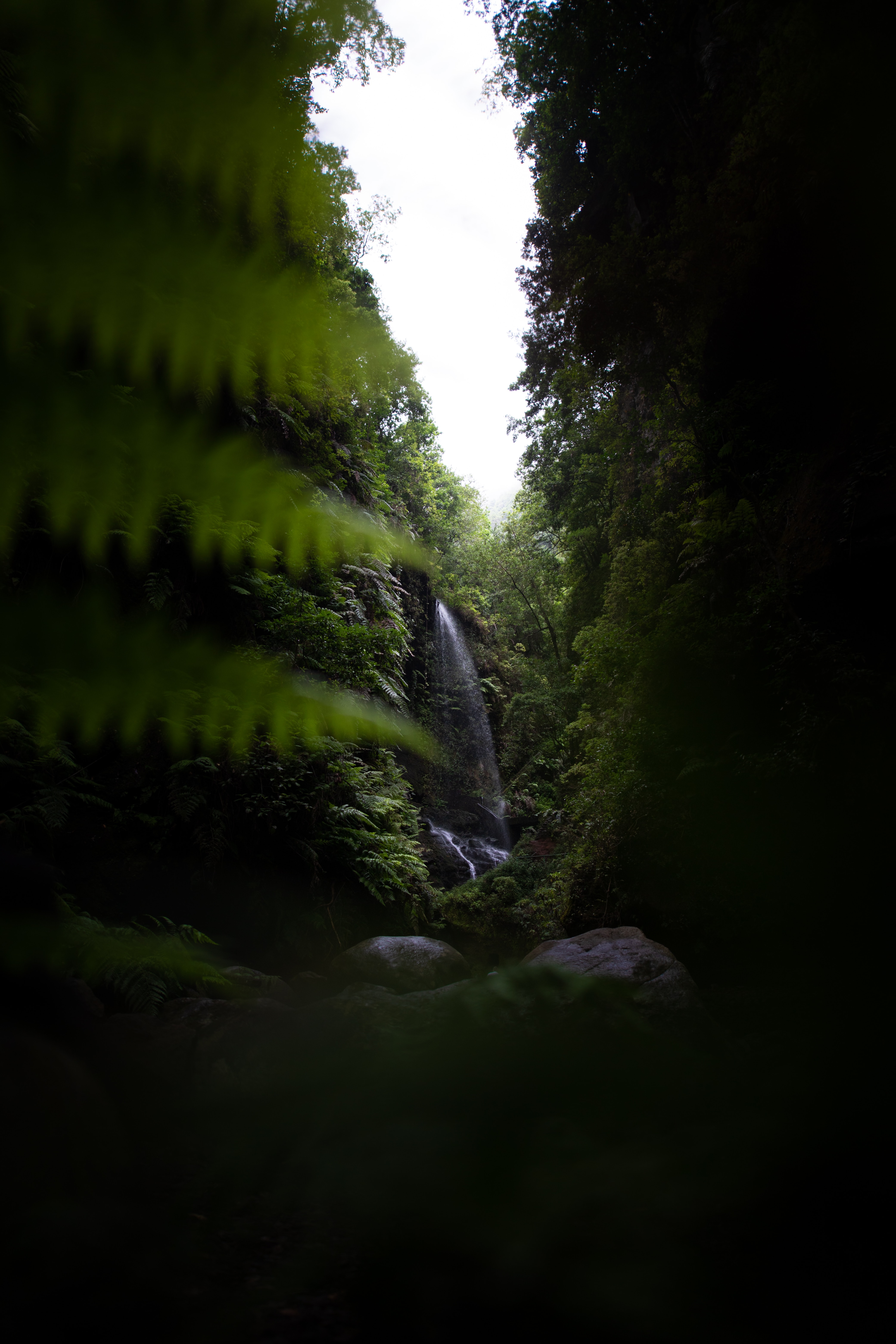 Laden Sie das Vegetation, Natur, Dunkel, Wasserfall, Dschungel-Bild kostenlos auf Ihren PC-Desktop herunter