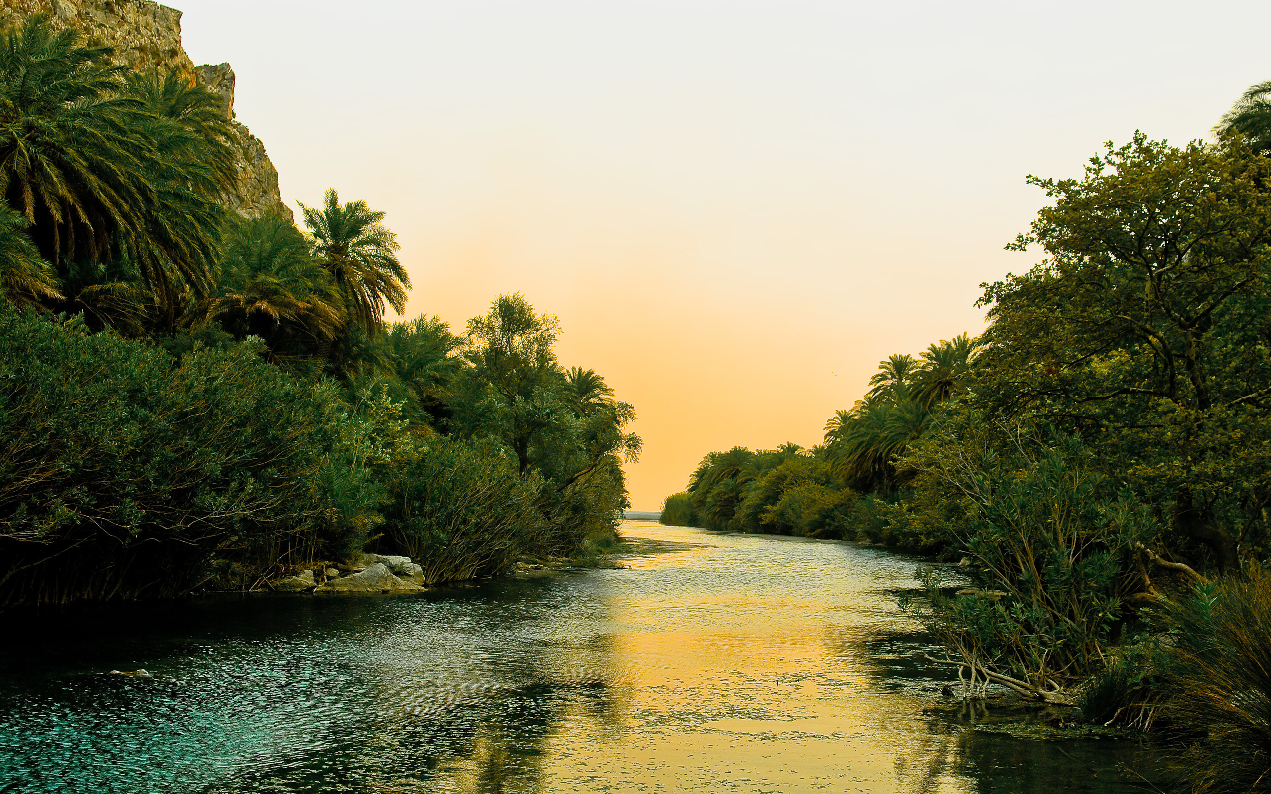 Download mobile wallpaper Landscape, Rivers, Palms for free.