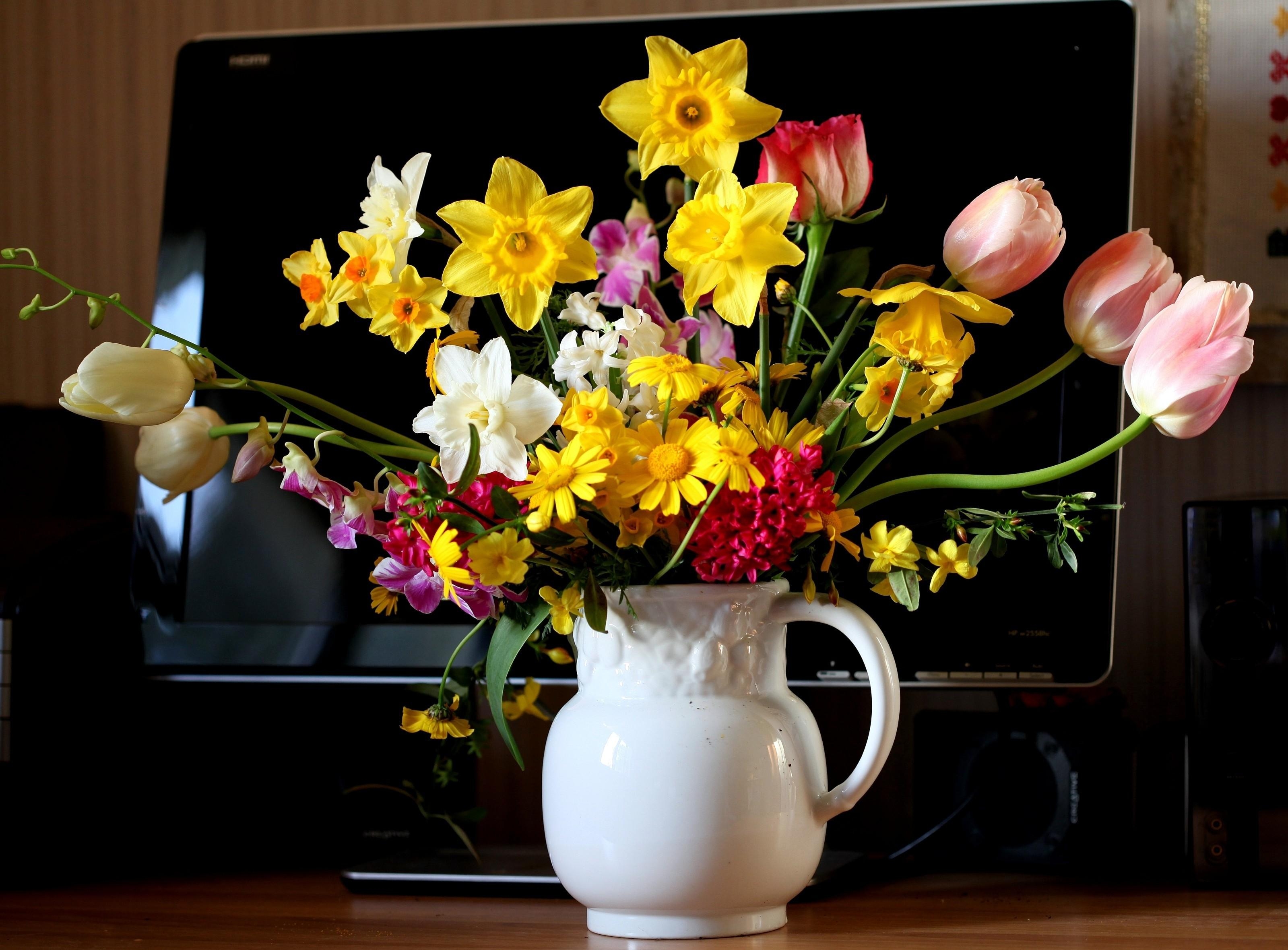 flowers, tulips, narcissussi, hyacinth, bouquet, jug, monitor cellphone