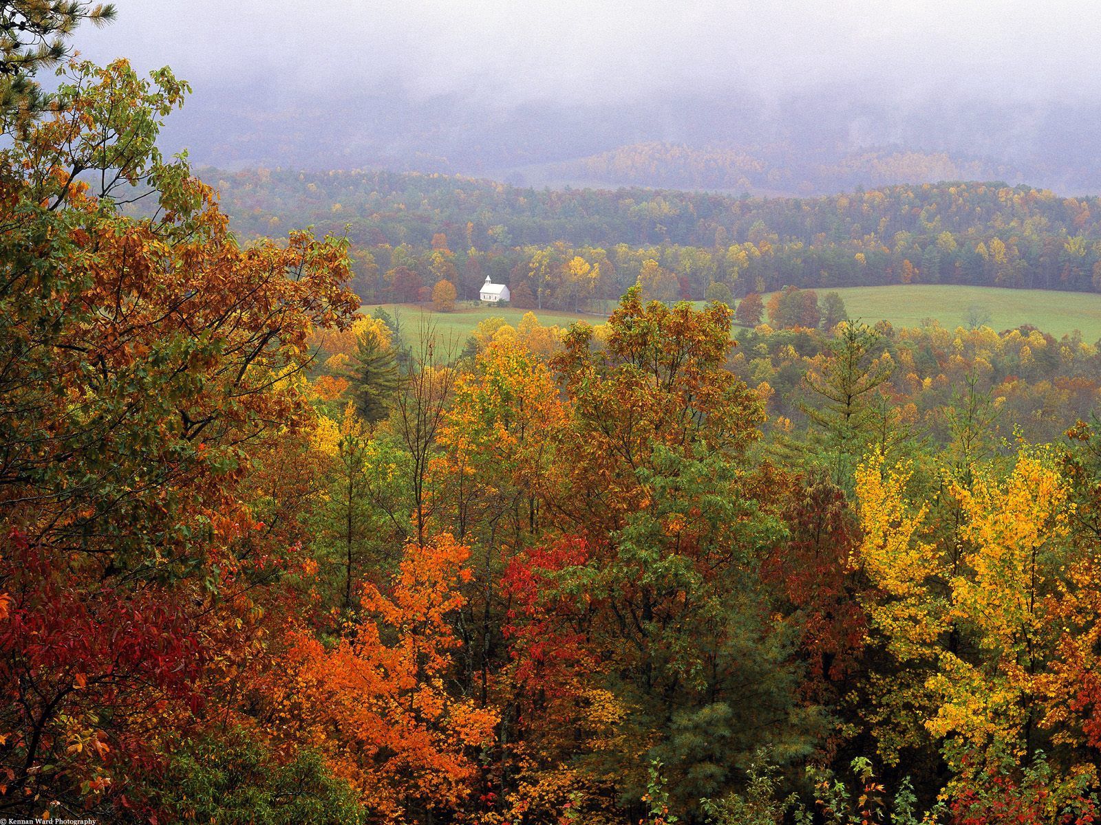 Laden Sie das Bäume, Dahl, Distanz, Natur, Grass, Herbst-Bild kostenlos auf Ihren PC-Desktop herunter