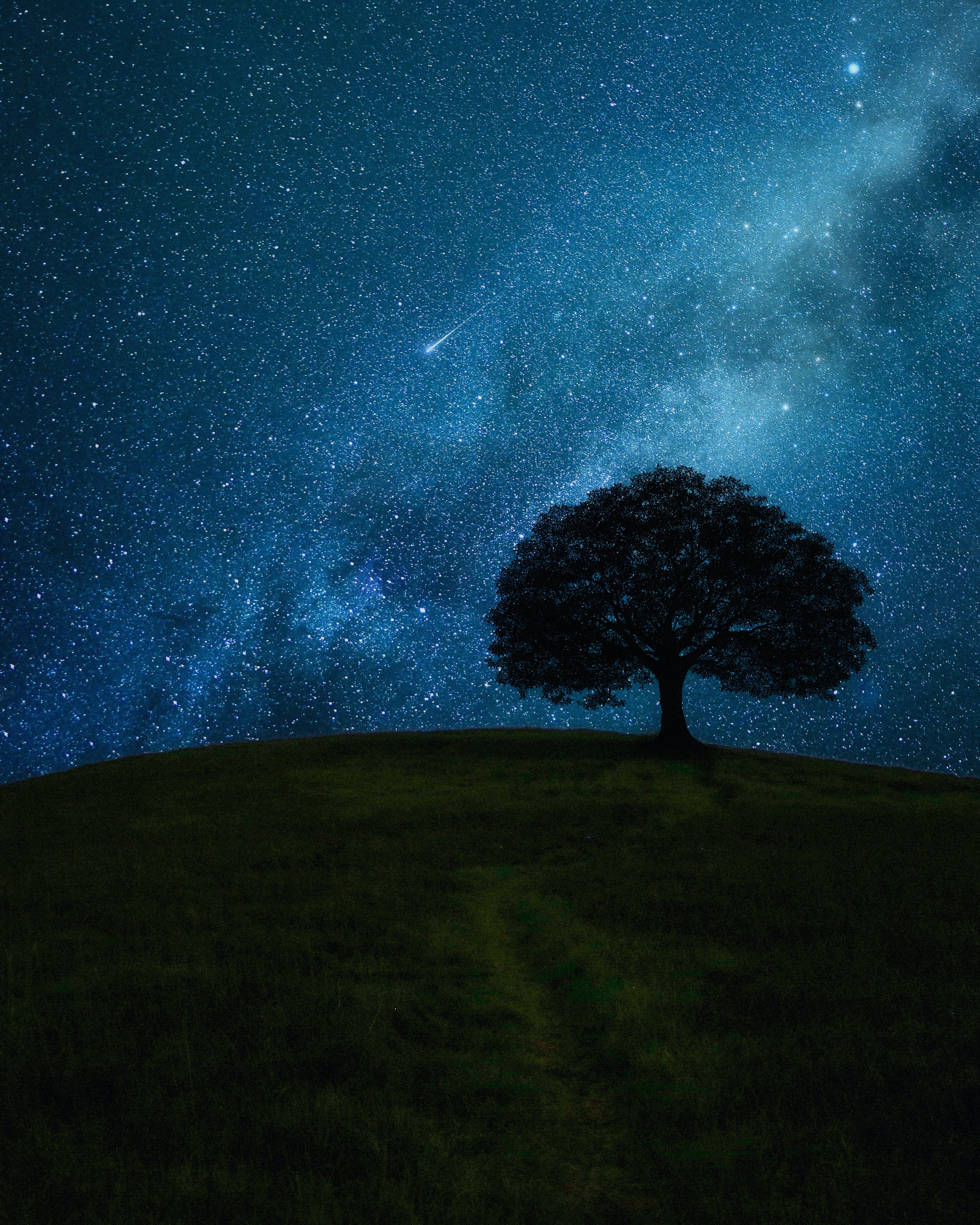 stars, dark, night, wood, tree, starry sky, hill Phone Background