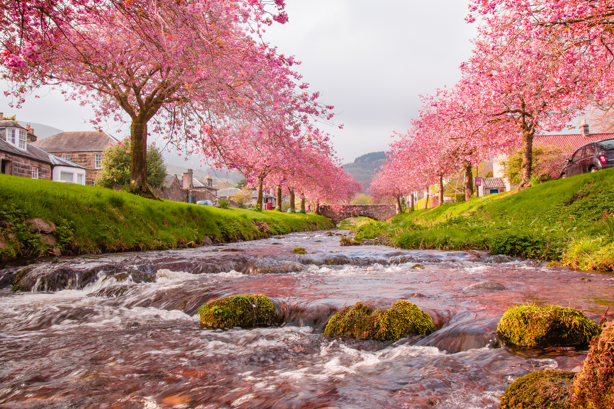 nature, sakura, rivers, bridge, flow wallpapers for tablet