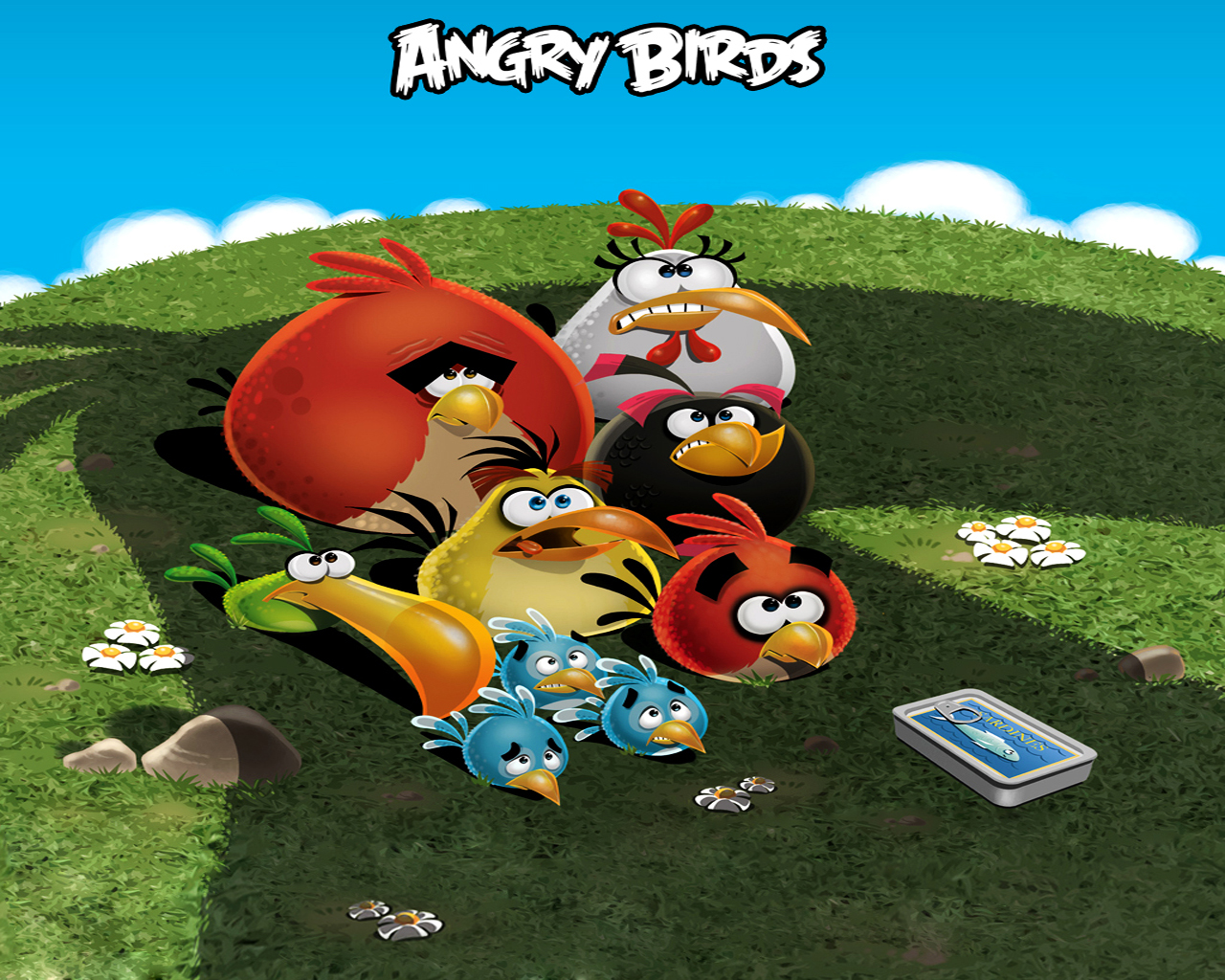 video game, angry birds 4K