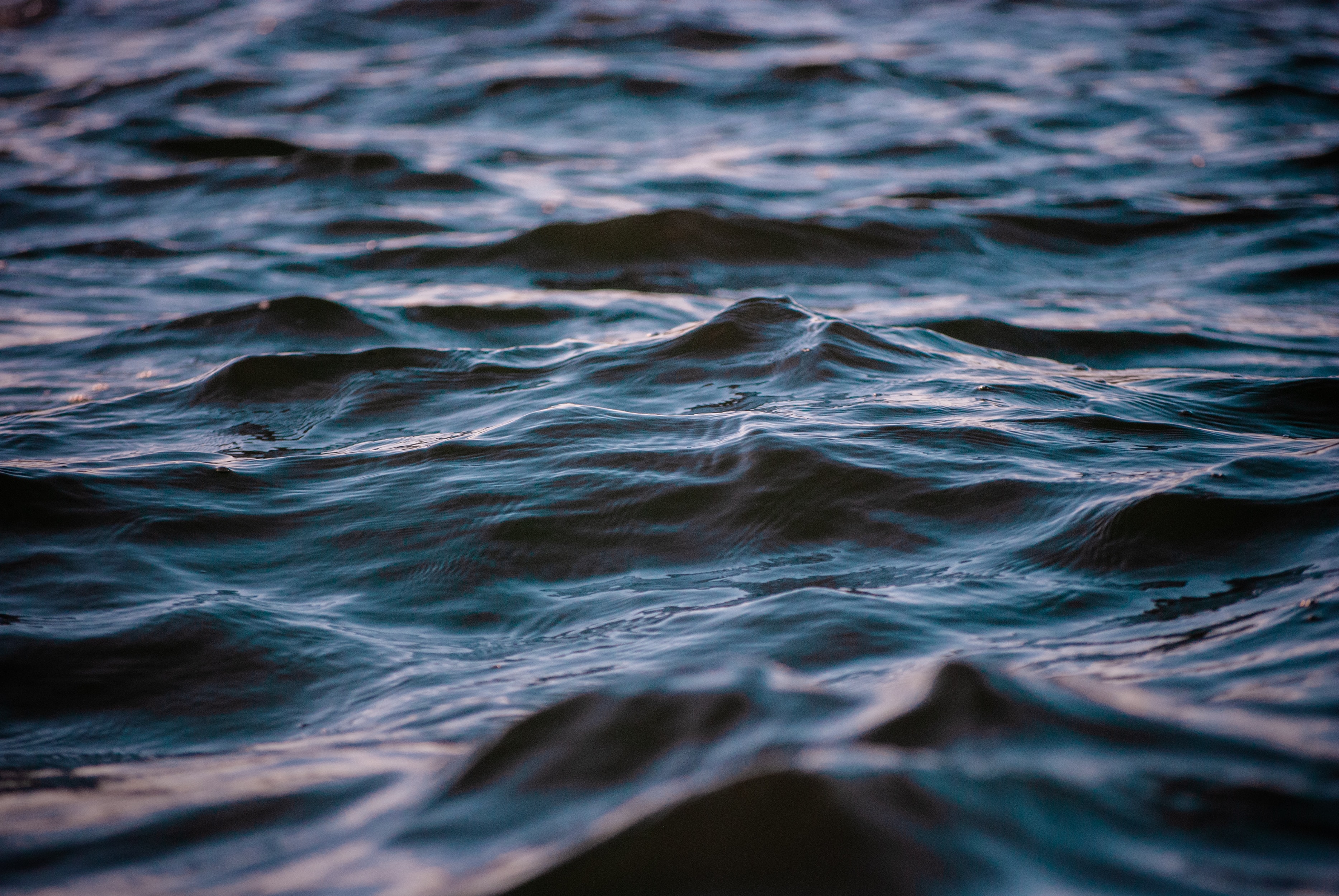 sea, nature, water, waves, ripples, ripple, wavy Free Stock Photo