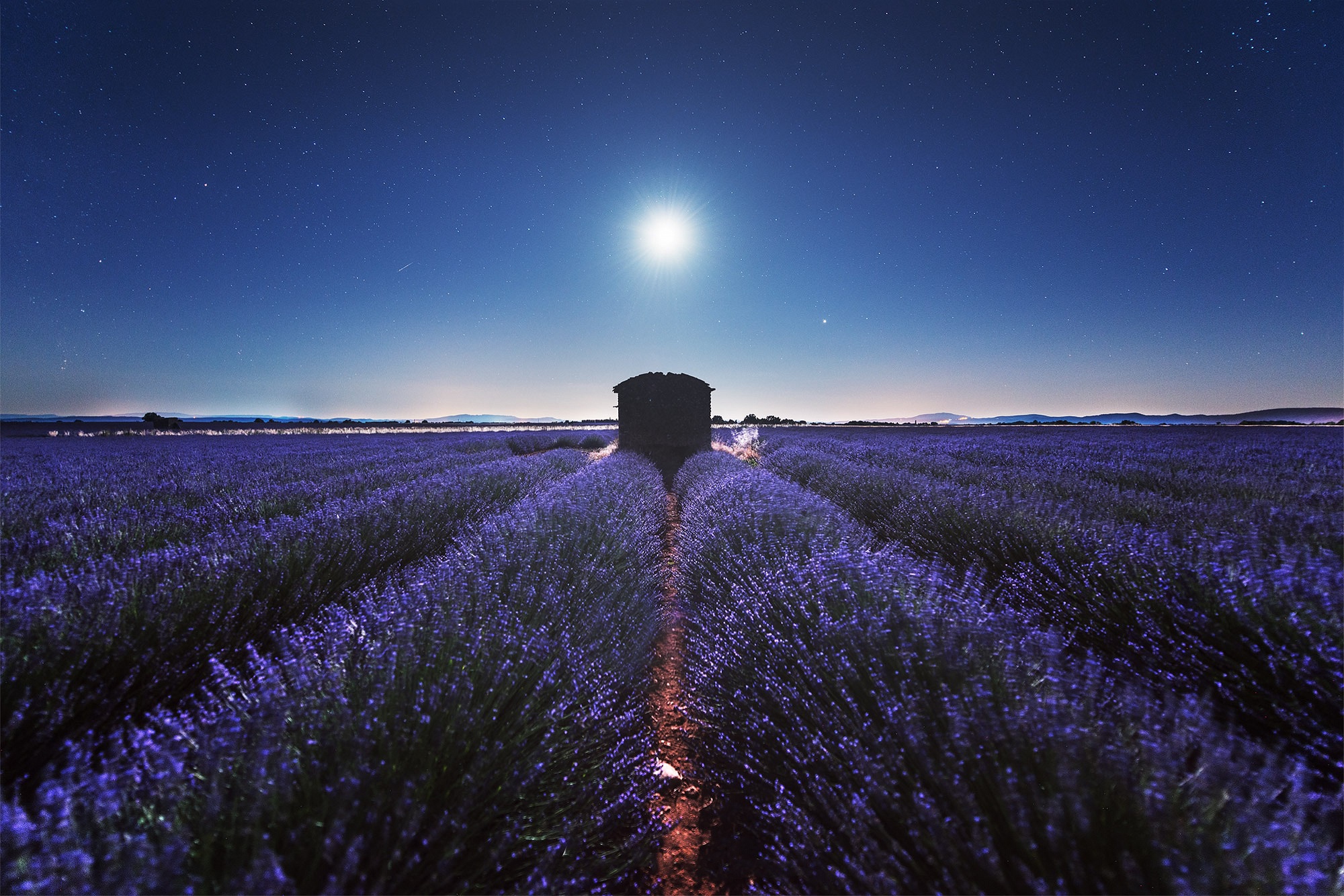 night, earth, lavender, field, plantation, stars, flowers