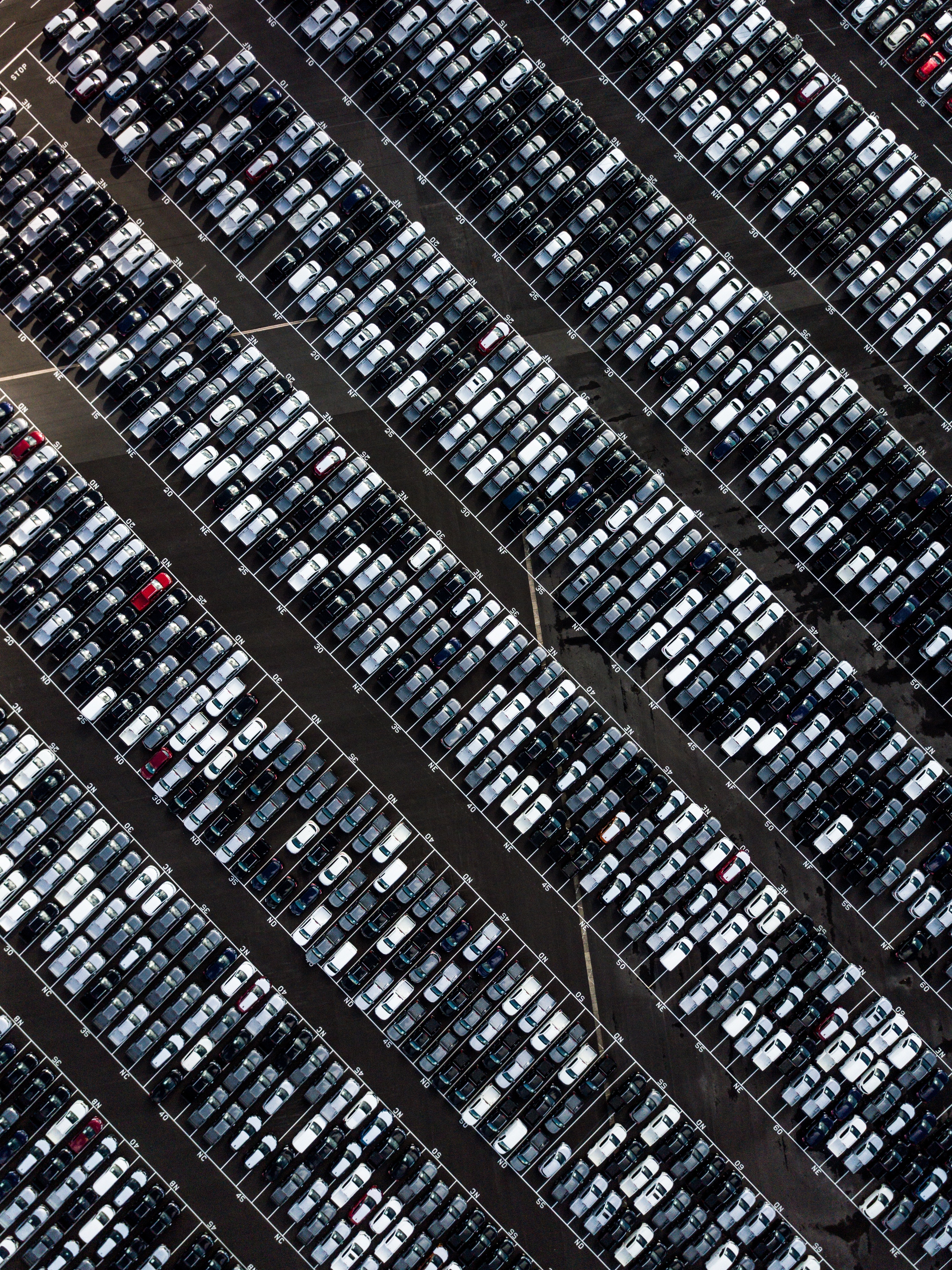 parking, cars, dividing lines QHD