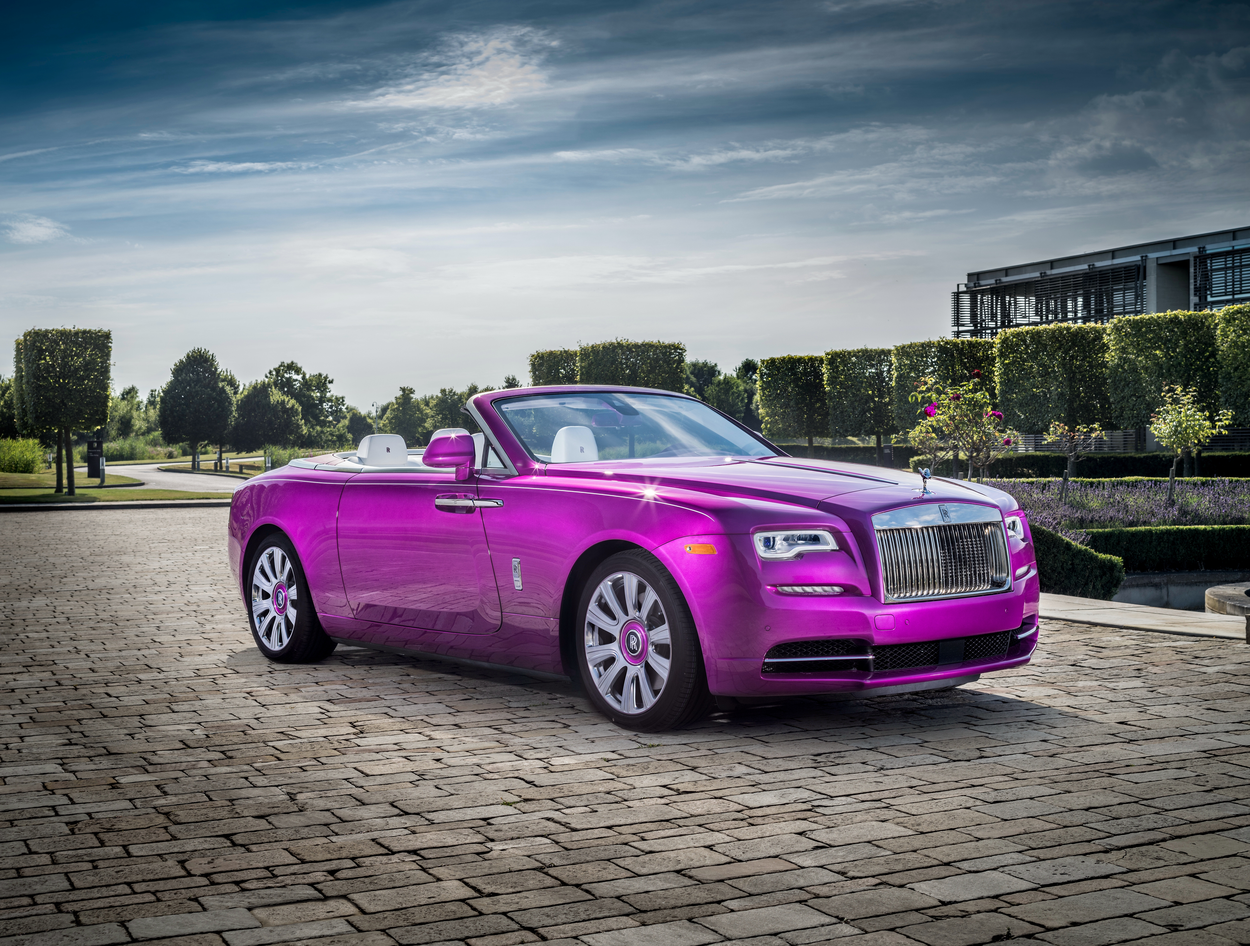 rolls royce dawn, rolls royce, purple car, vehicles
