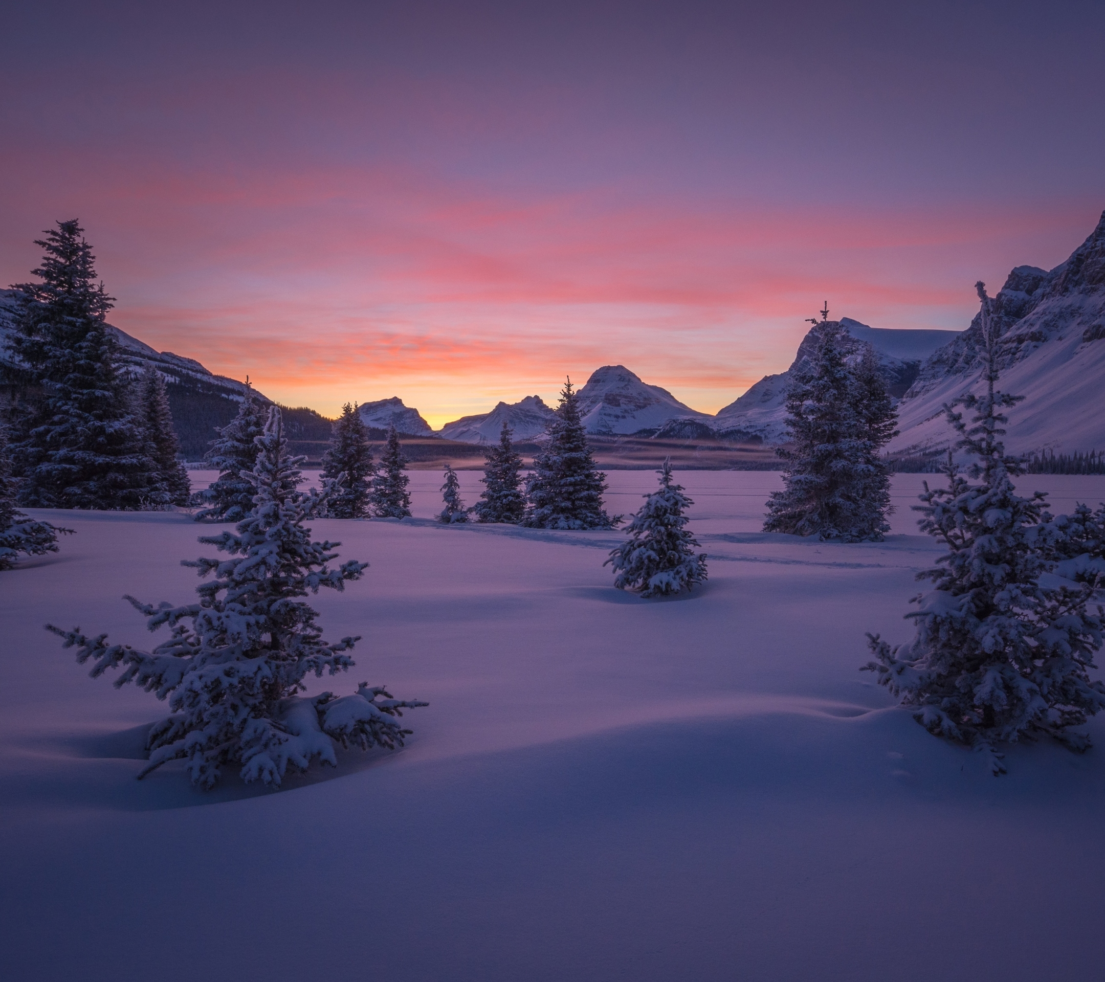 Download mobile wallpaper Landscape, Winter, Nature, Snow, Tree, Sunrise, Earth for free.
