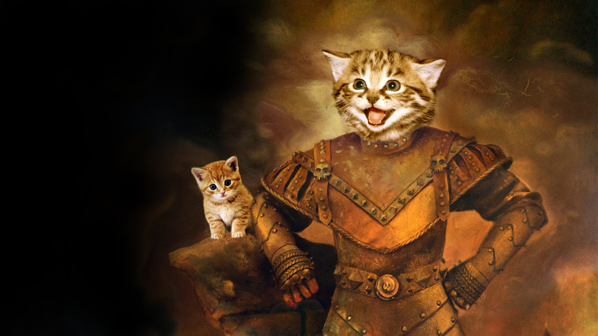 Download mobile wallpaper Manipulation, Cat, Fantasy, Humor, Cats, Photography for free.