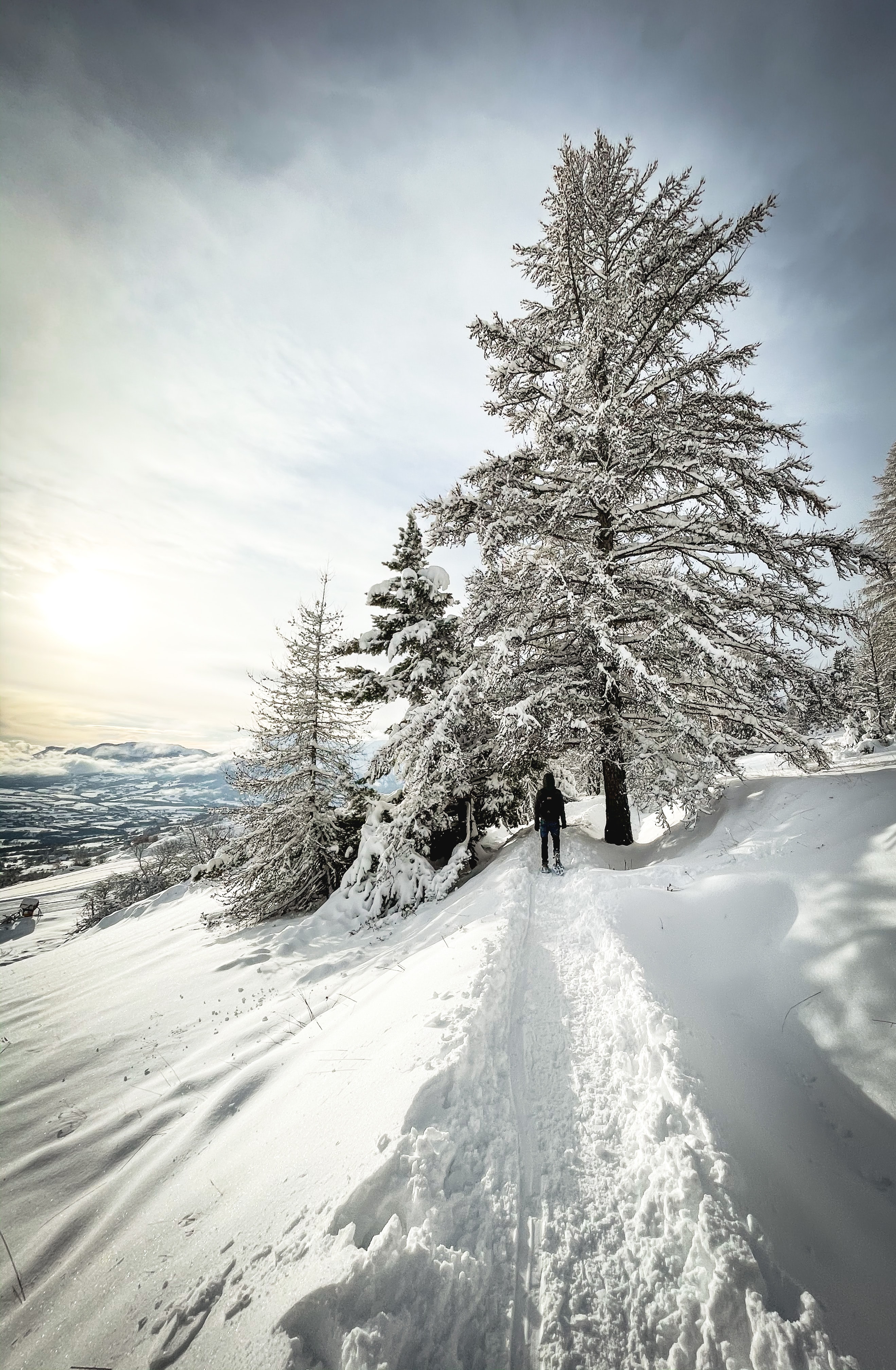 Download mobile wallpaper Trees, Snow, Miscellanea, Winter, Miscellaneous, Person, Human, Loneliness for free.