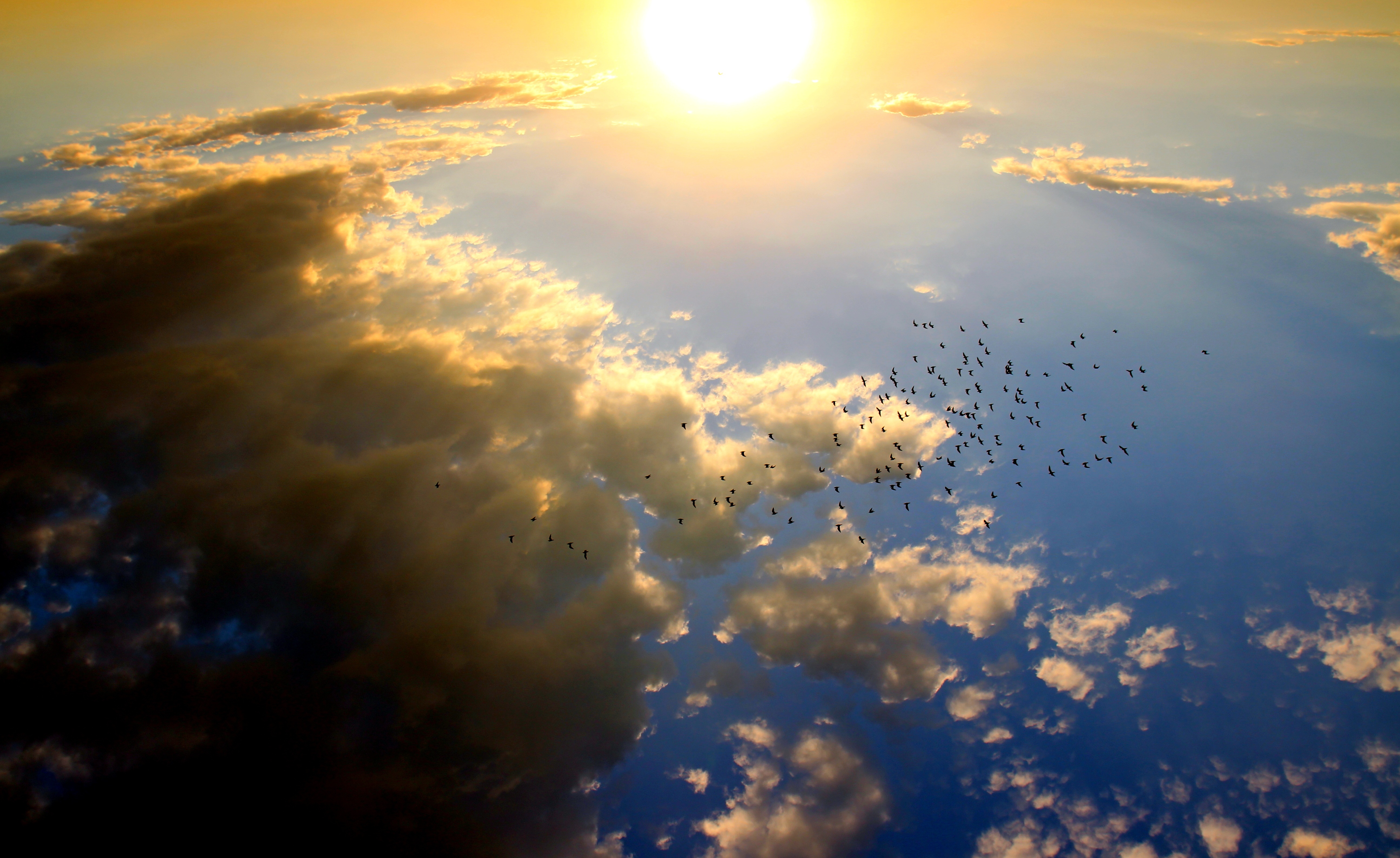 776665 скачать картинку земля/природа, небо, антенна, птицы, облака, стая птиц, солнце - обои и заставки бесплатно