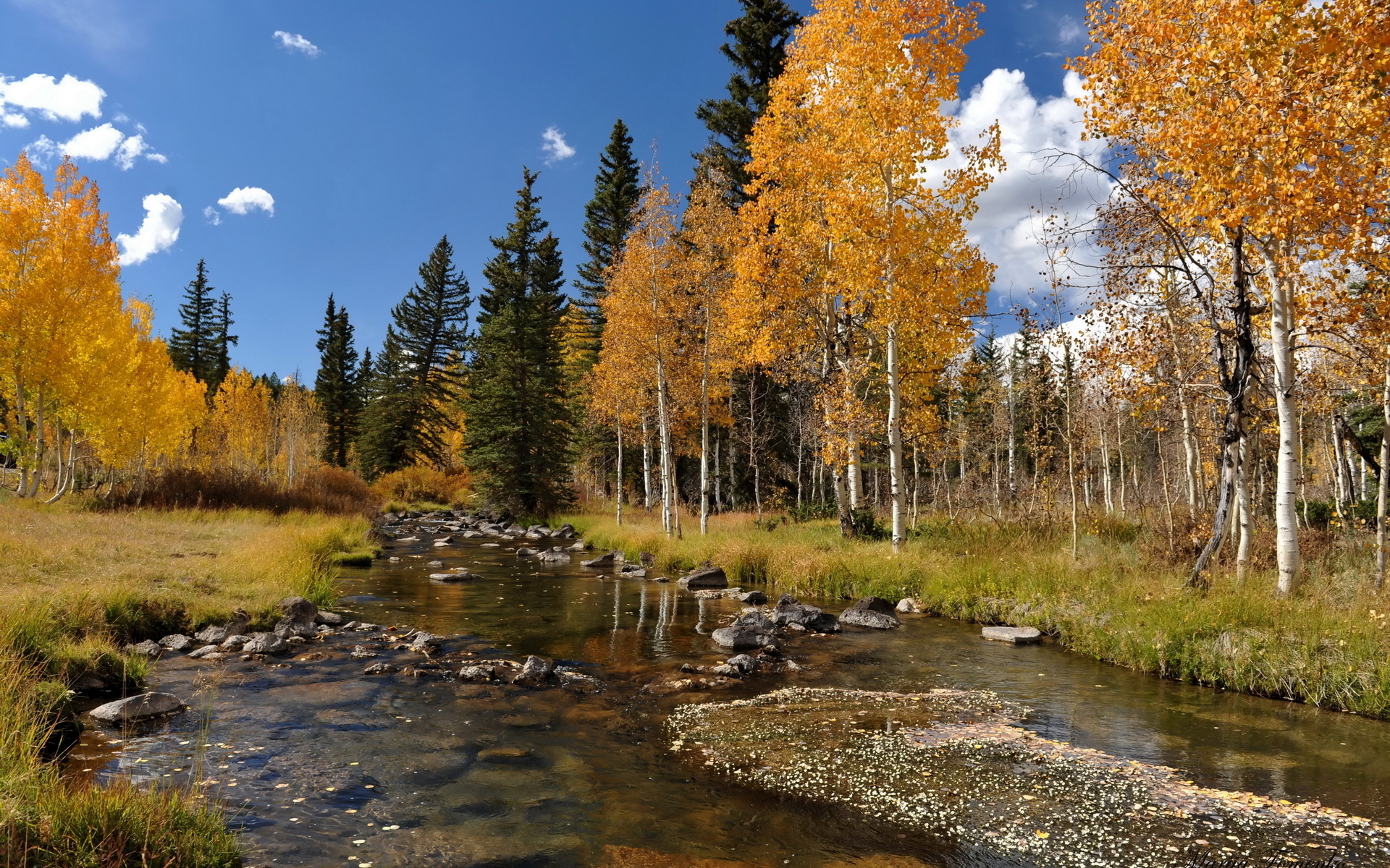 nature, earth, fall, leaf, river, season, stream 32K