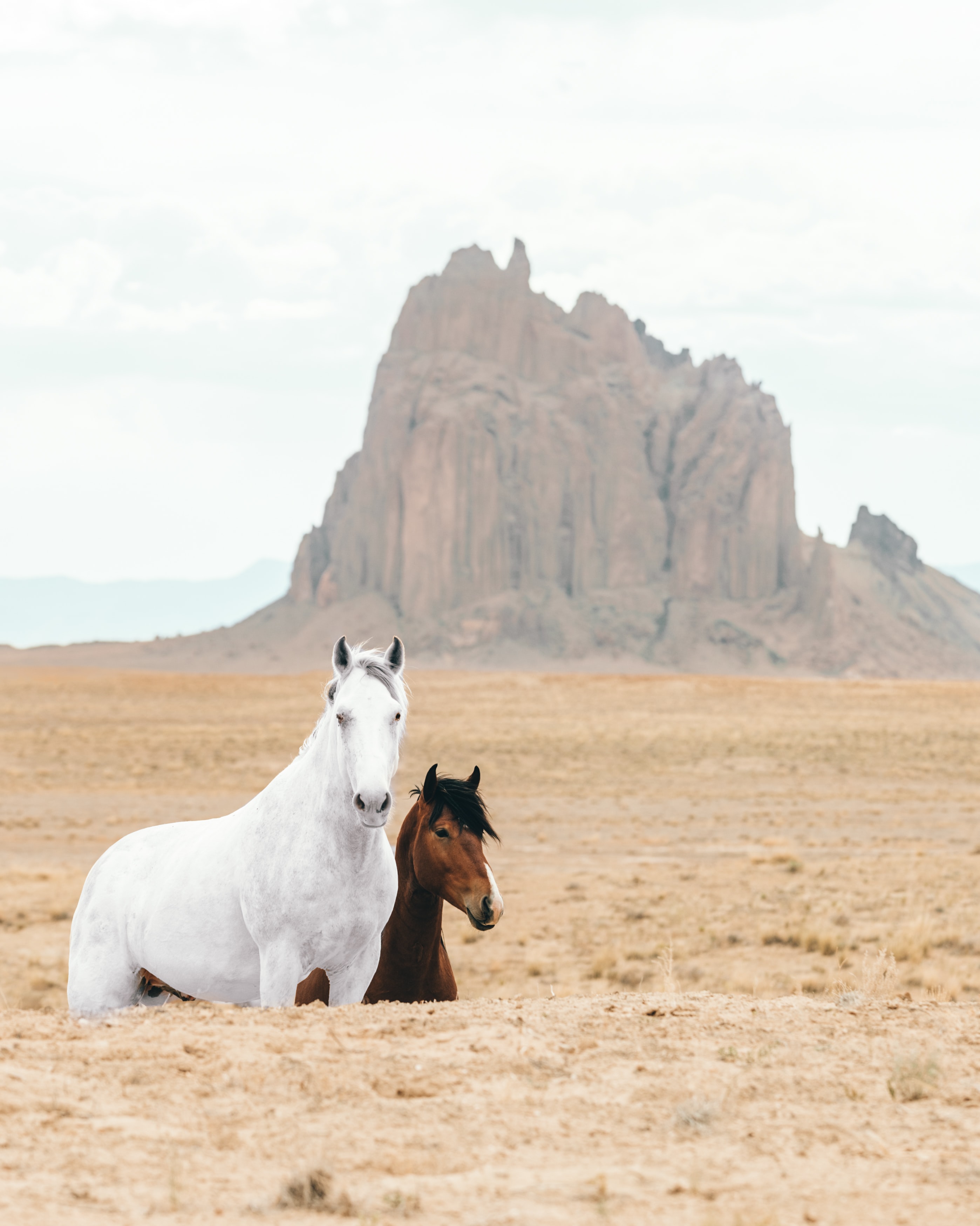 Download mobile wallpaper Animals, Rocks, Sand, Horse, Horses for free.