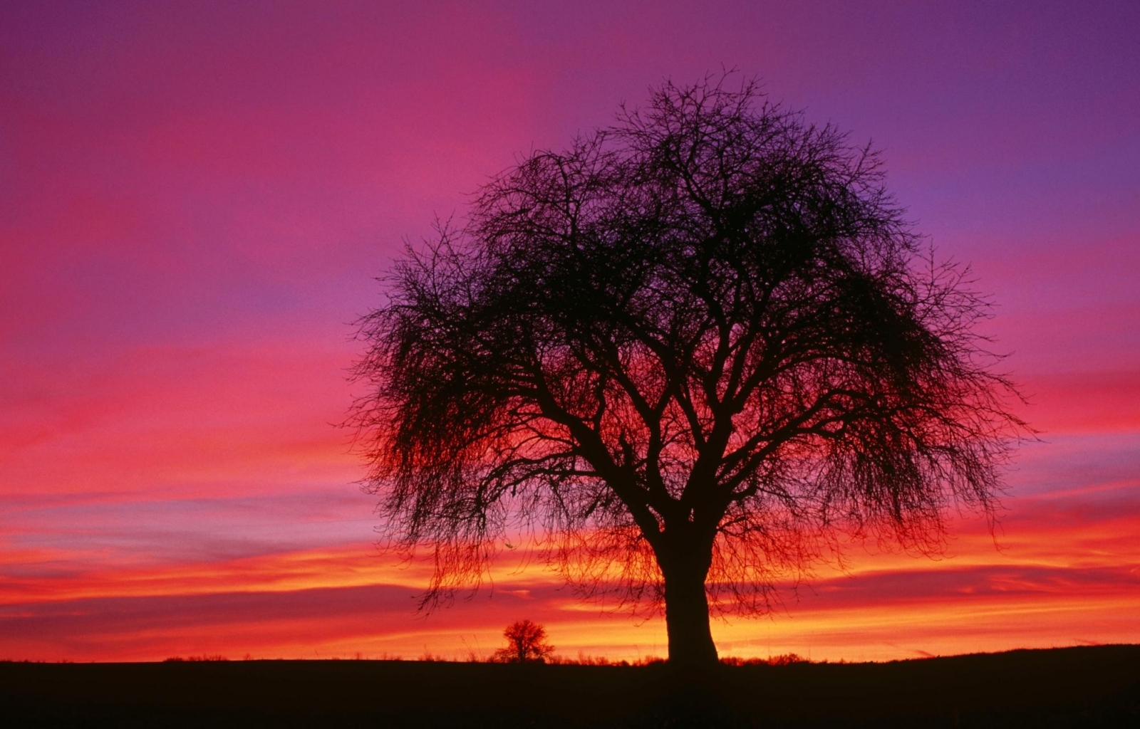 Download mobile wallpaper Trees, Sunset, Landscape, Sky for free.