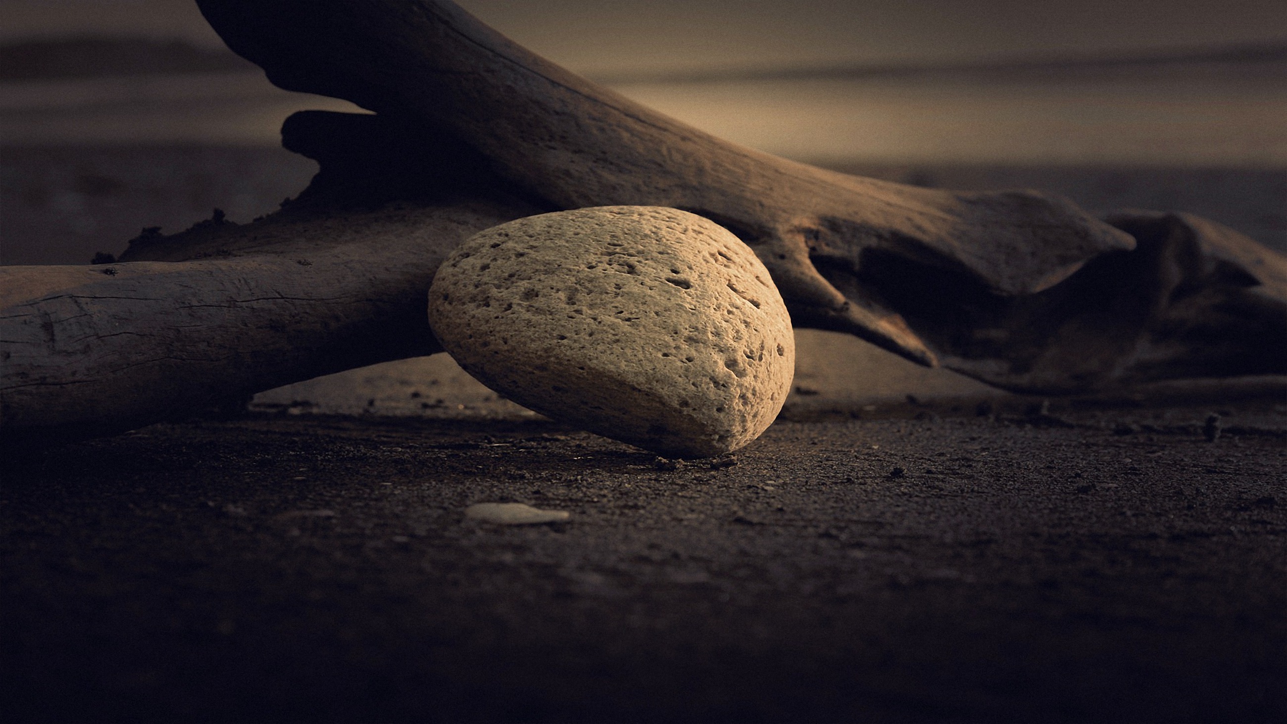 Cool Wallpapers nature, earth, rock, driftwood, sand, soil