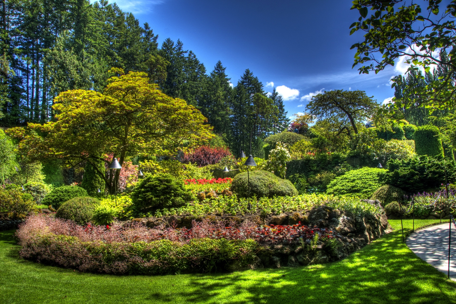 67951 скачать обои сад, тень, ярко, природа, растительность, клумба, зеленый - заставки и картинки бесплатно