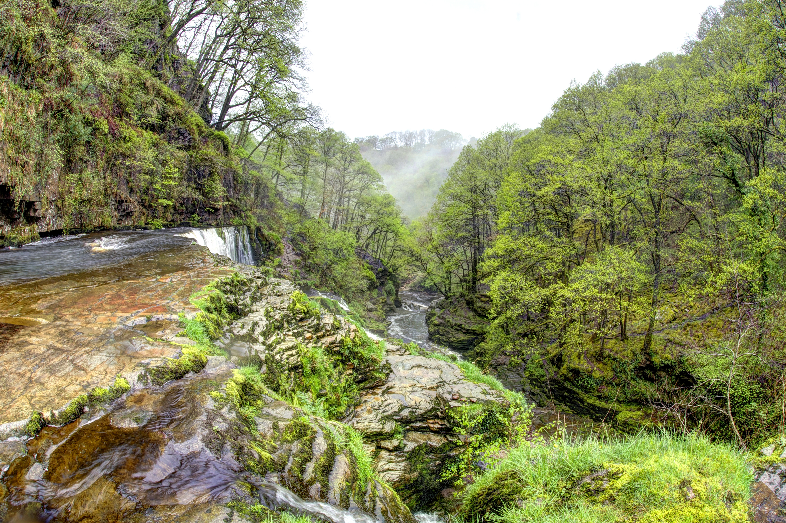 earth, waterfall, fog, forest, morning, nature, tree, united kingdom, wales, waterfalls