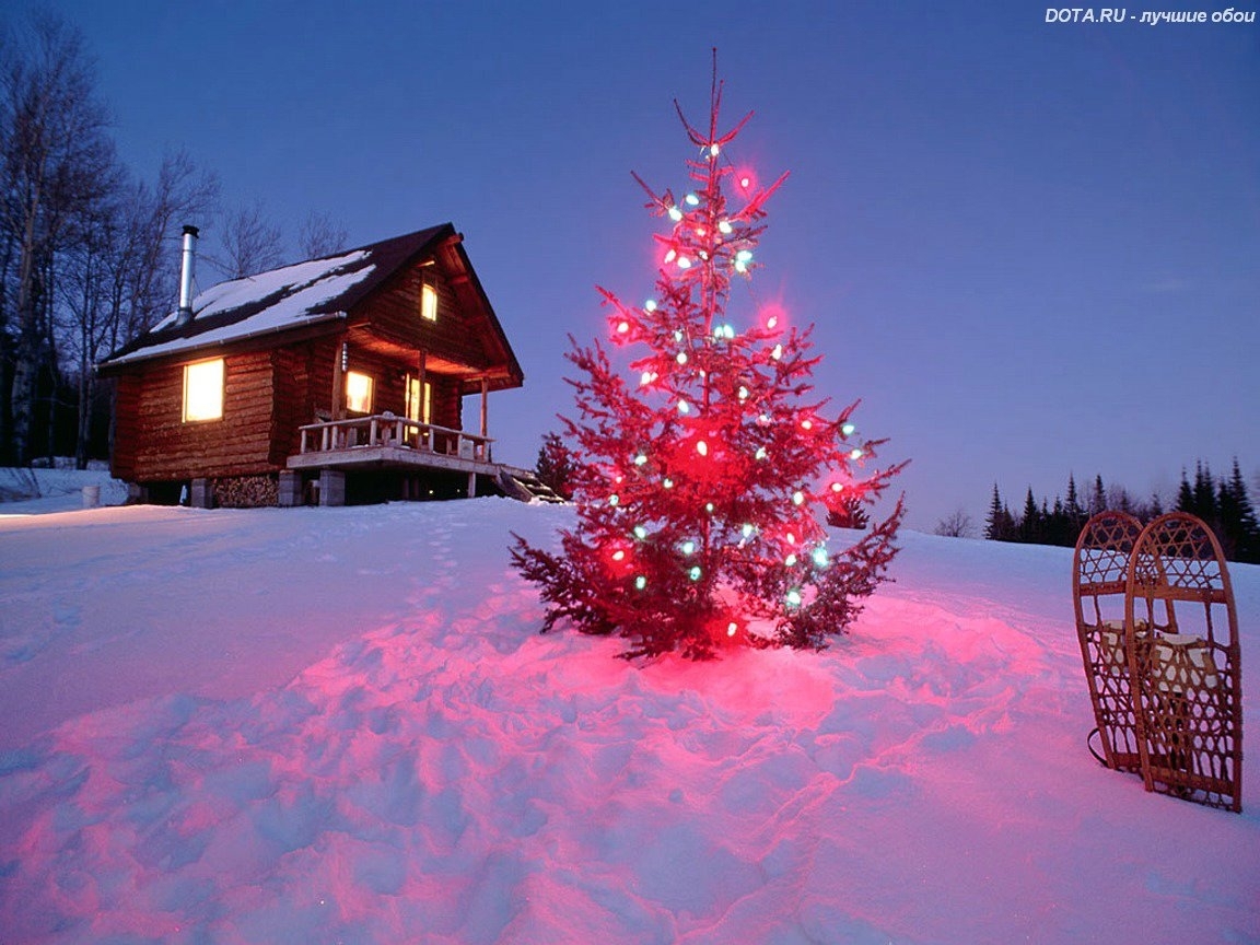 christmas xmas, landscape, holidays, winter, new year, fir trees 1080p