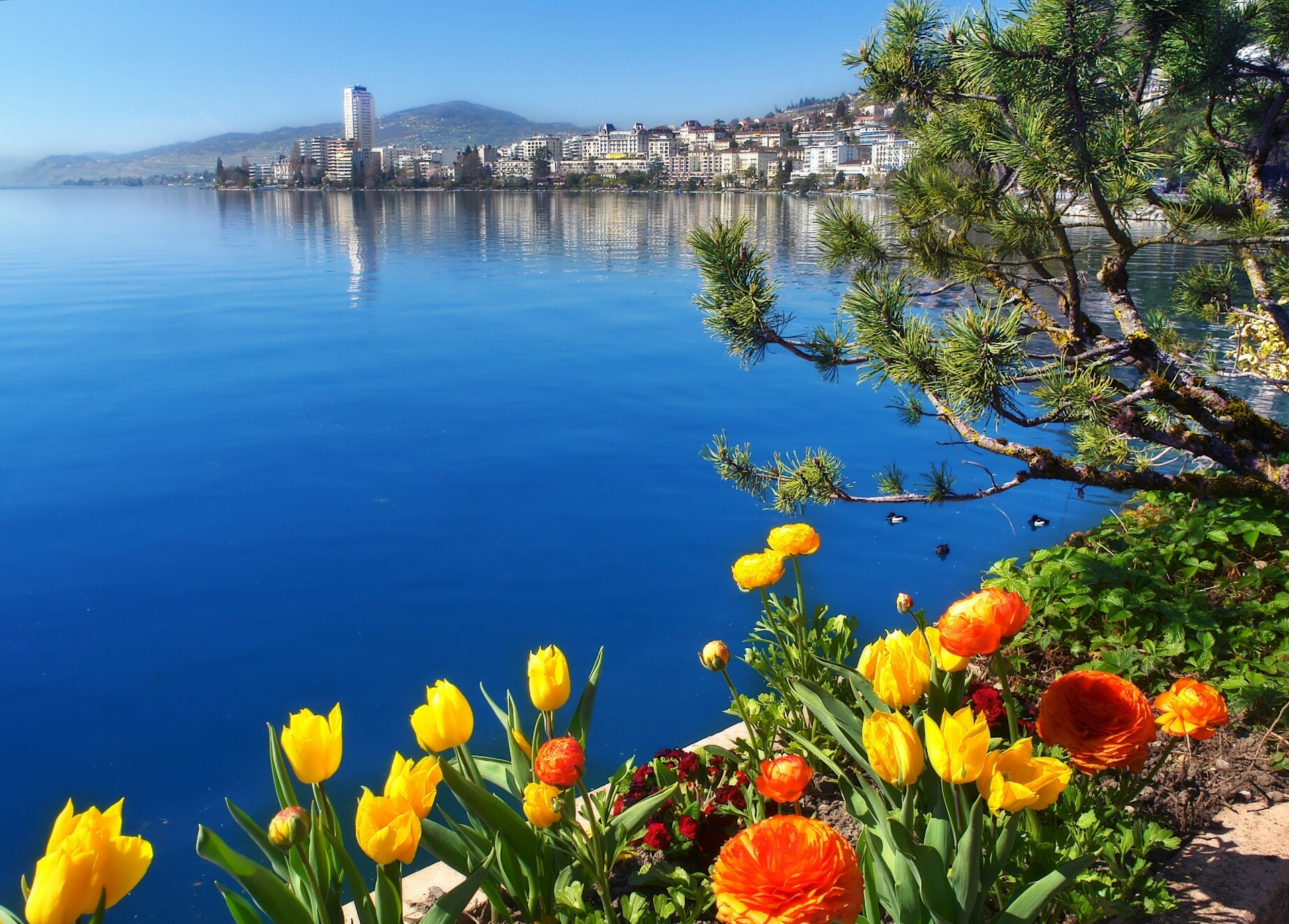Скачать обои Женевское Озеро на телефон бесплатно