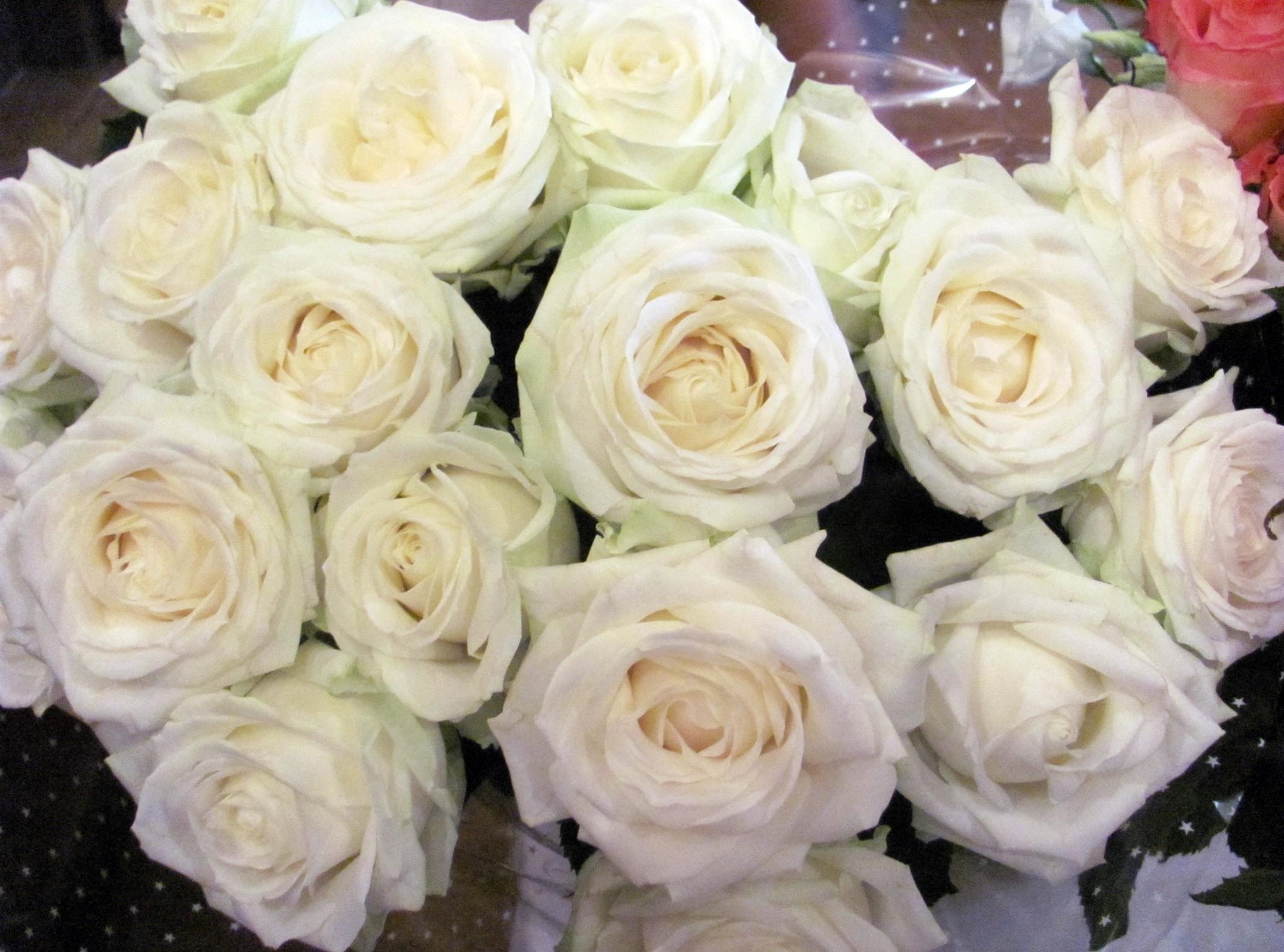 flowers, roses, white, bouquet, snow white, packaging