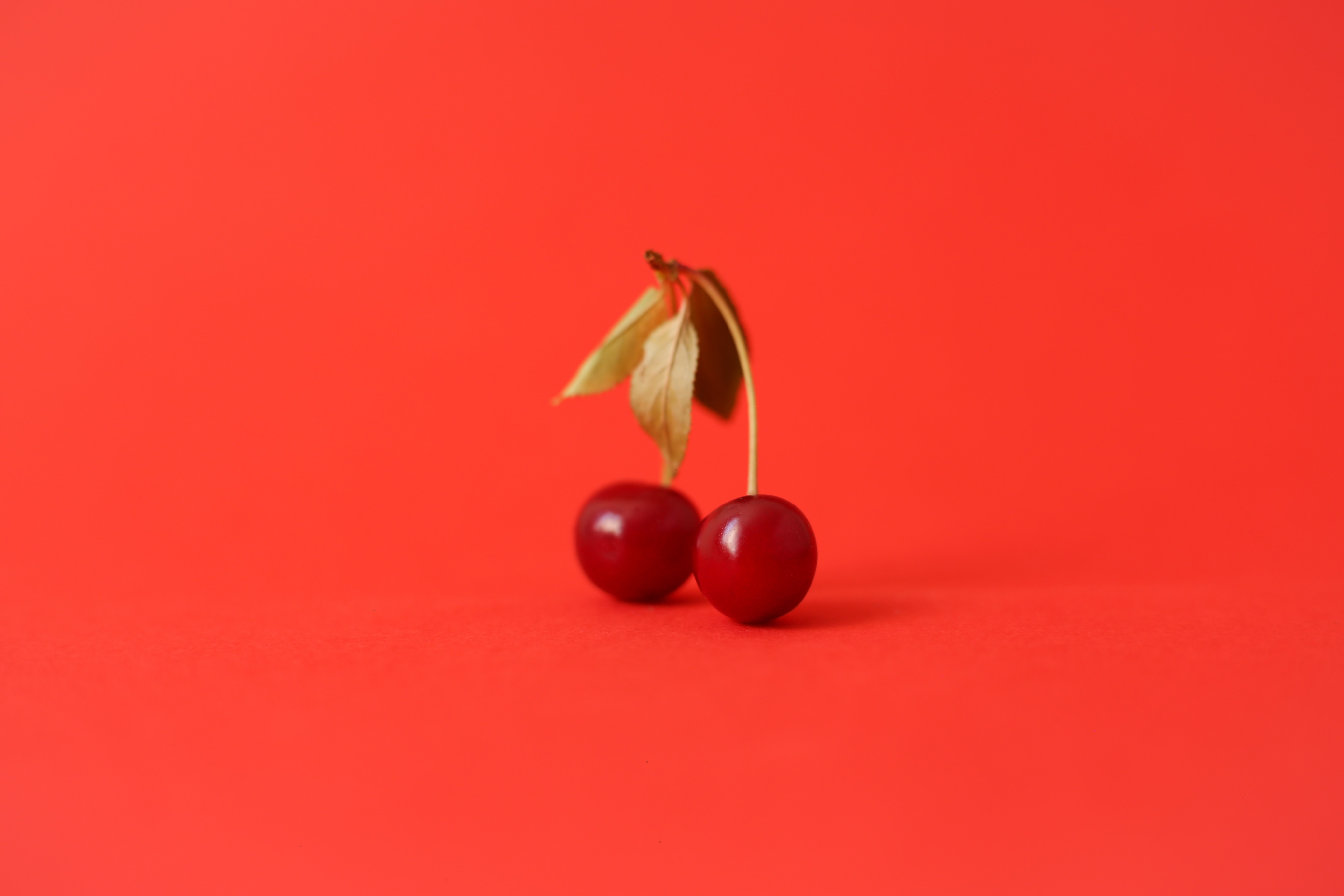 cherry, food, red, sheet, leaf, berry, fruit 4K
