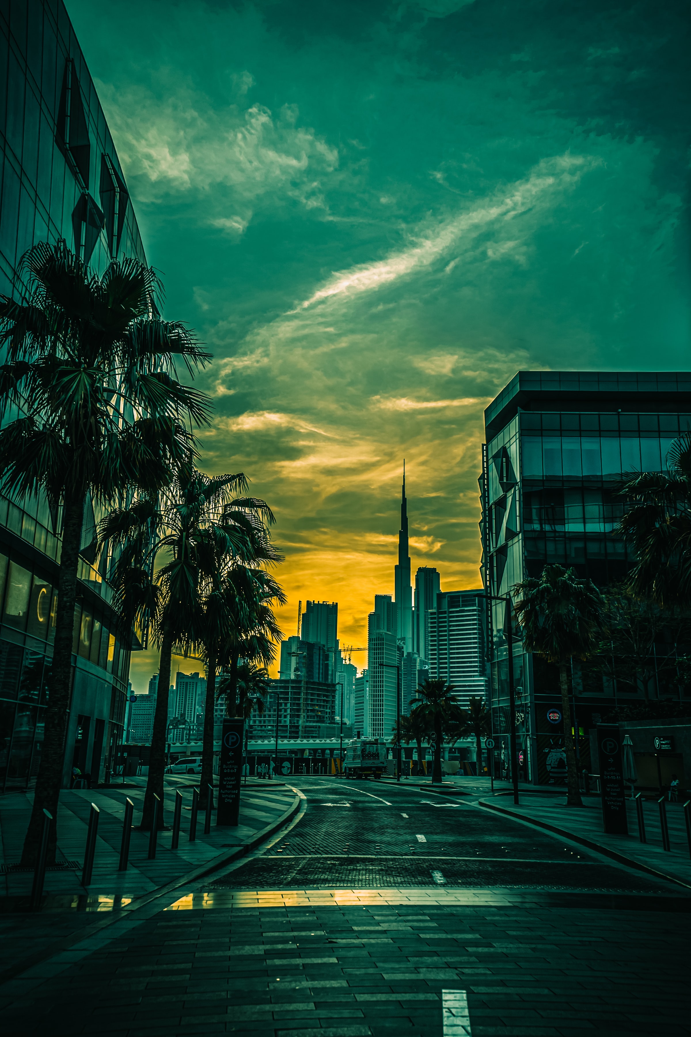 cities, architecture, palms, city, building iphone wallpaper