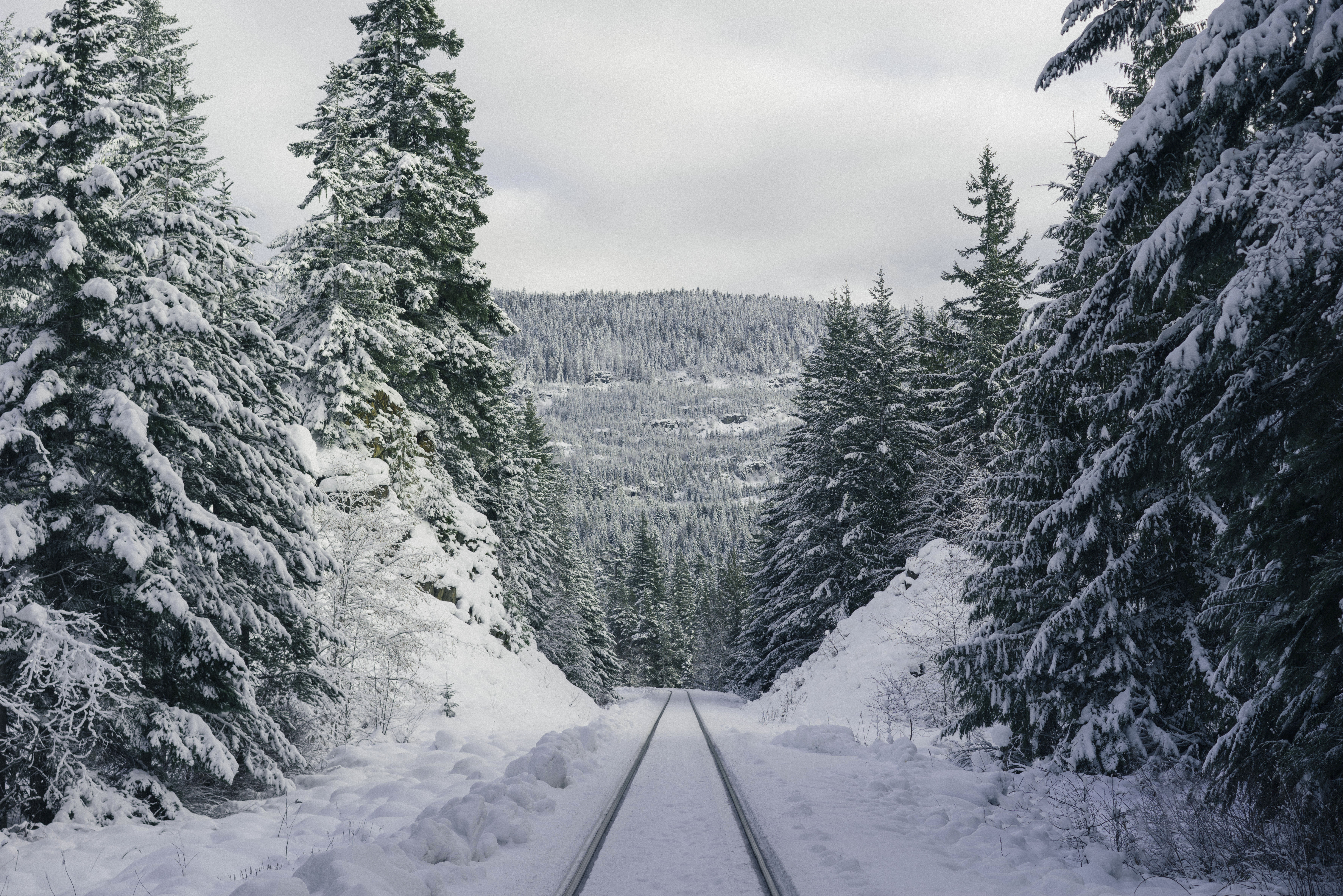 Download mobile wallpaper Trail, Path, Forest, Mountains, Nature, Winter for free.