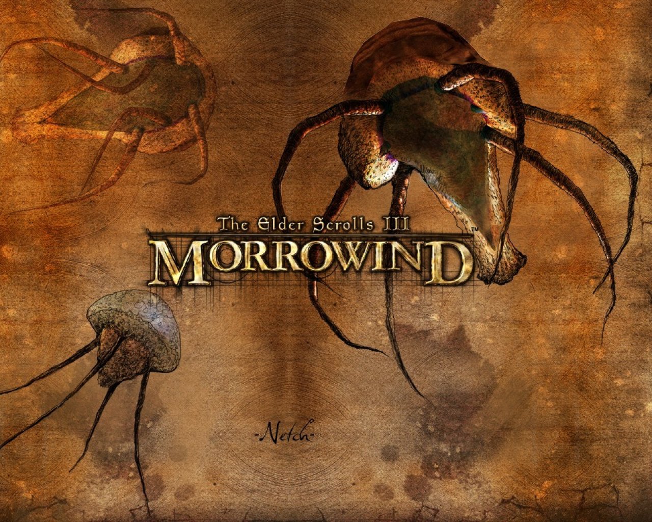 the elder scrolls iii: morrowind, video game